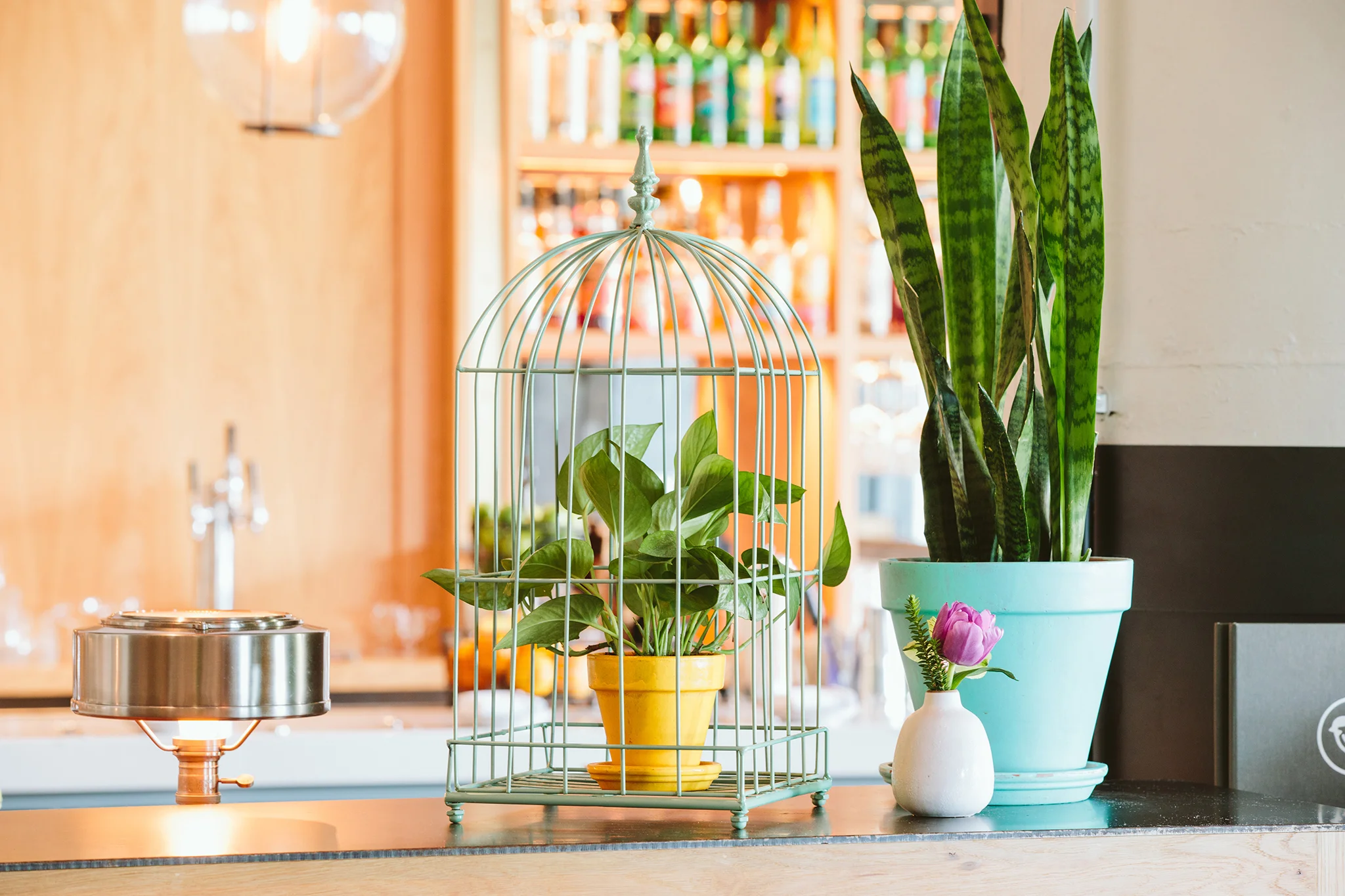 CHICKADEE_INTERIORS_BRIAN SAMUELS PHOTOGRAPHY_JULY 2019-1112 copy.jpg