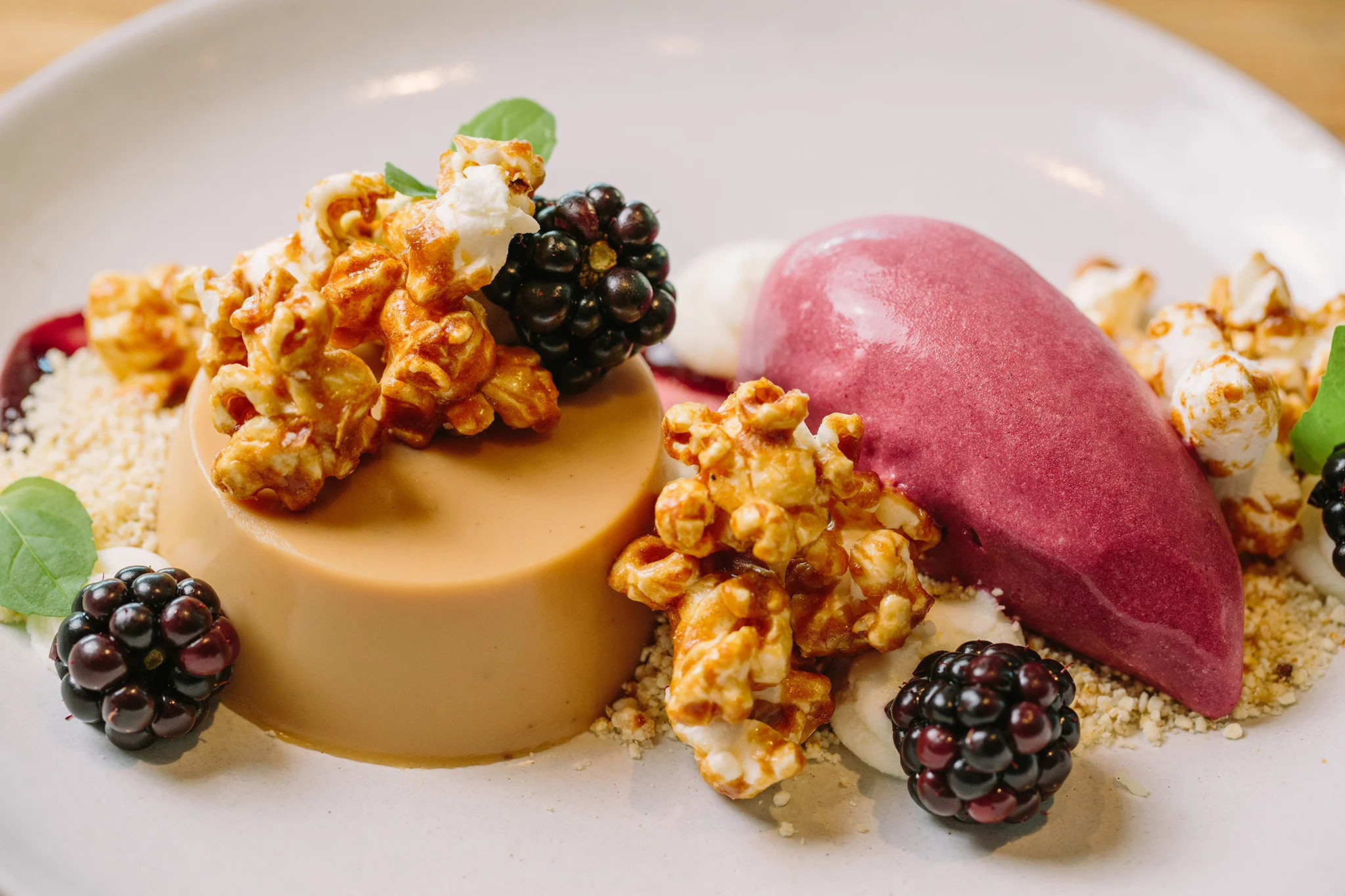 CHICKADEE_BRIAN SAMUELS PHOTOGRAPHY_AUGUST 2019-0160 copy.jpg