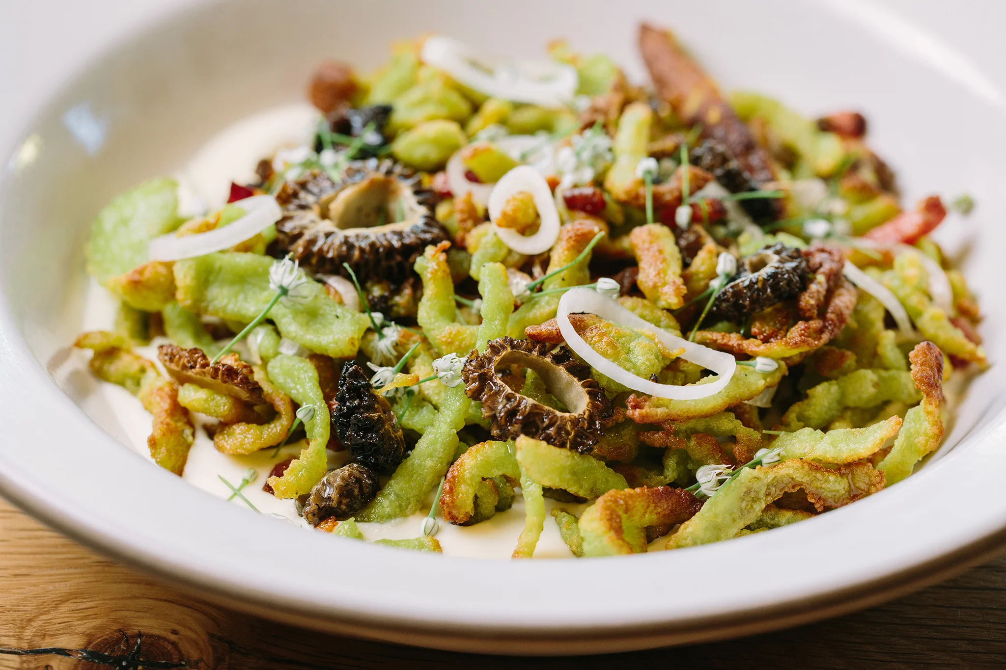 CHICKADEE_BRIAN SAMUELS PHOTOGRAPHY_AUGUST 2019-0156 copy.jpg