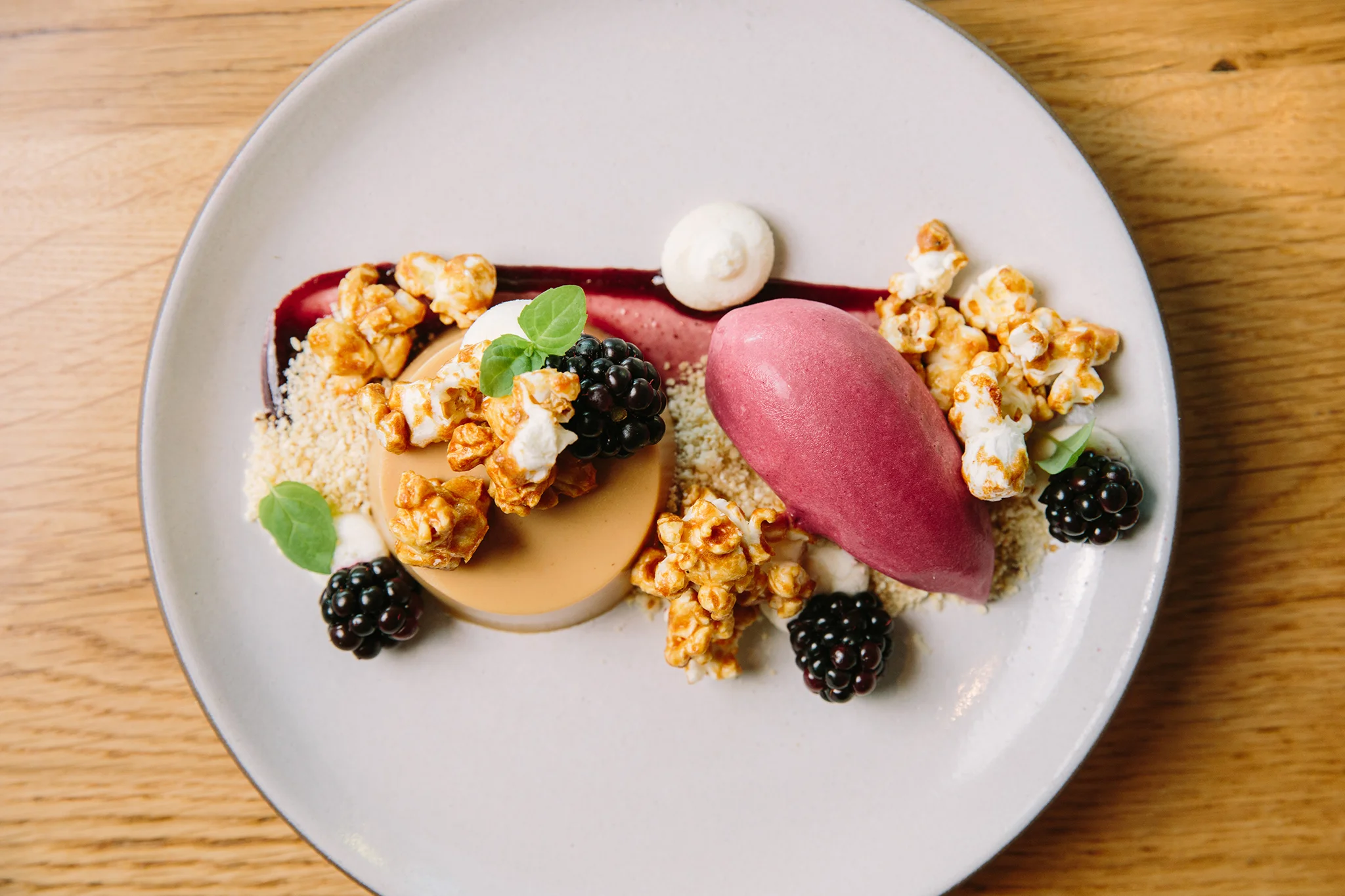 CHICKADEE_BRIAN SAMUELS PHOTOGRAPHY_AUGUST 2019-0172 copy.jpg