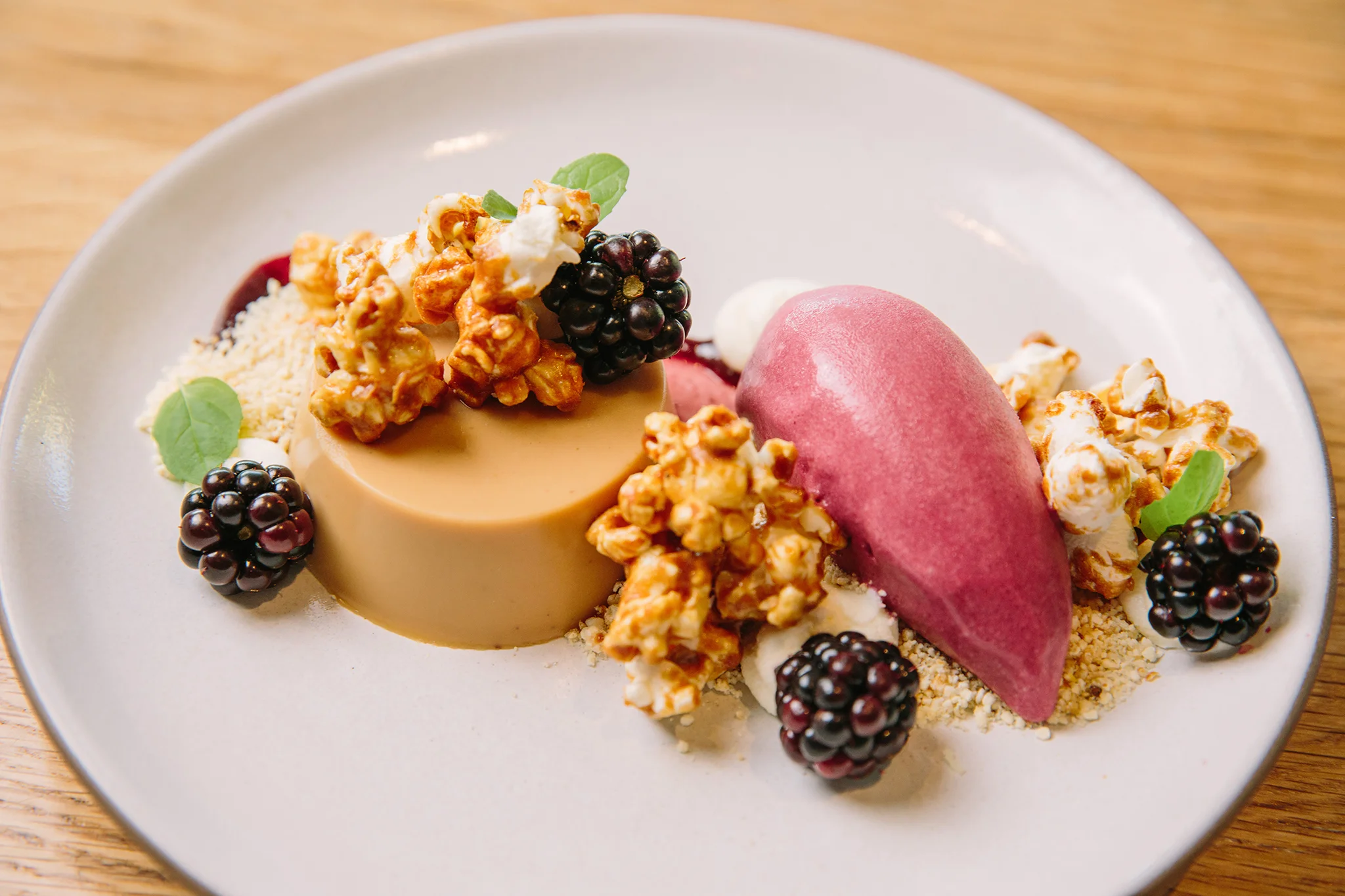 CHICKADEE_BRIAN SAMUELS PHOTOGRAPHY_AUGUST 2019-0190 copy.jpg