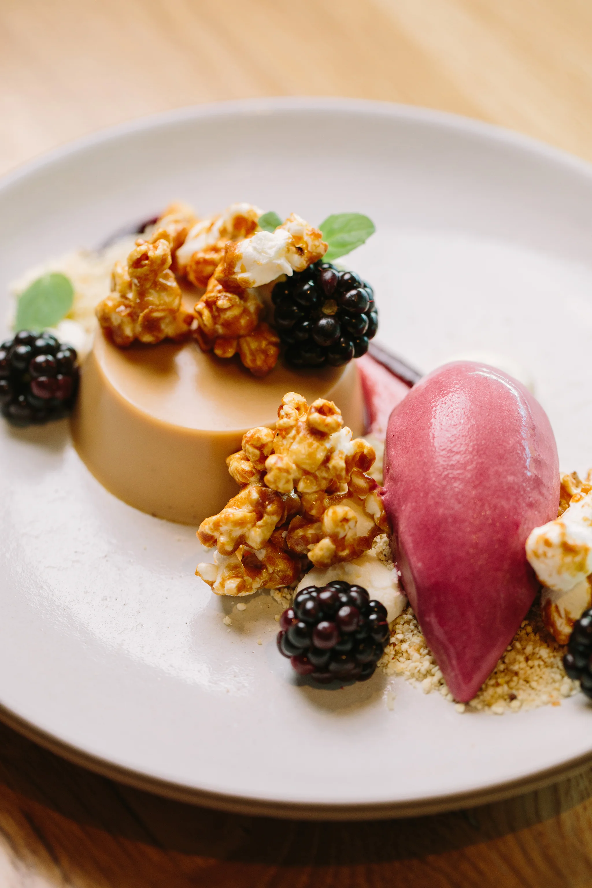 CHICKADEE_BRIAN SAMUELS PHOTOGRAPHY_AUGUST 2019-0241 copy.jpg