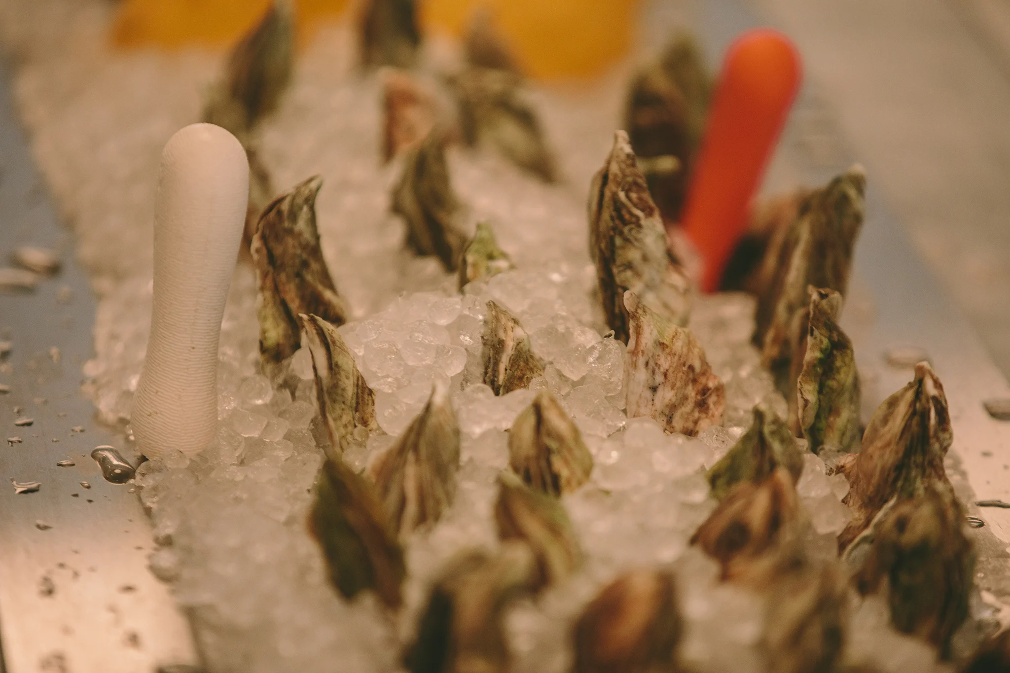 THE OYSTER CLUB_BRIAN SAMUELS PHOTOGRAPHY_JULY 2019-0183 copy.jpg