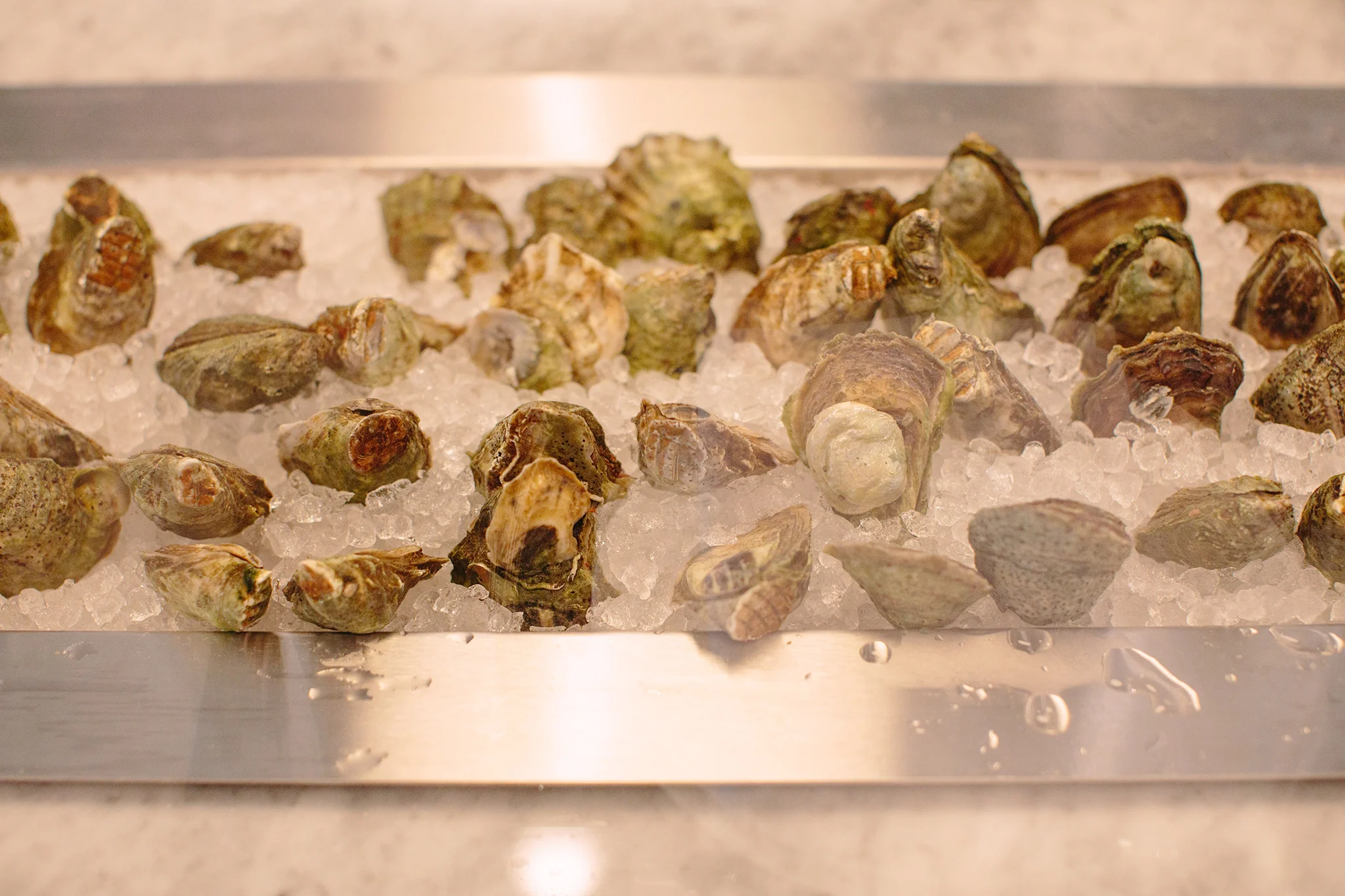 THE OYSTER CLUB_BRIAN SAMUELS PHOTOGRAPHY_JULY 2019-0721 copy.jpg