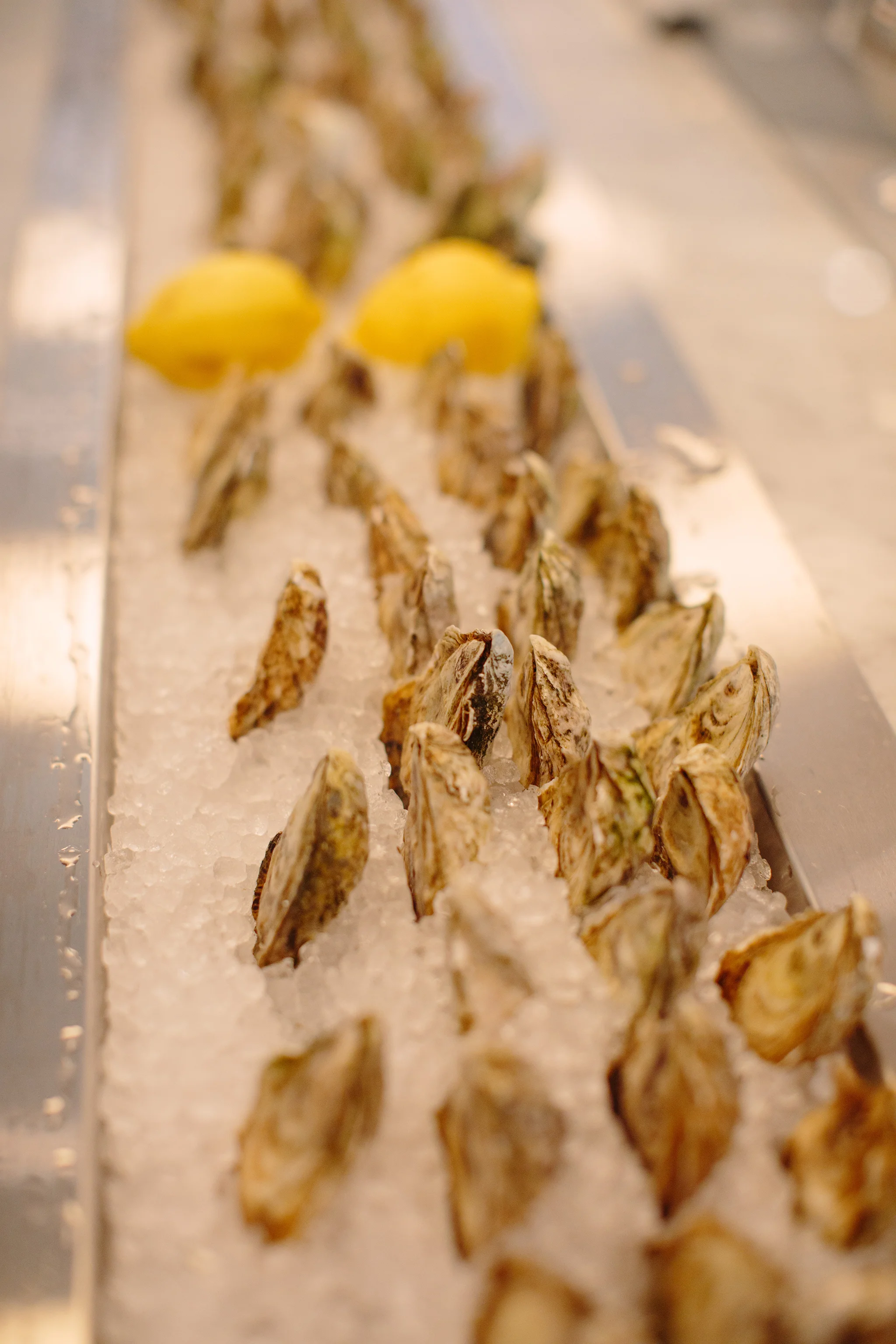 THE OYSTER CLUB_BRIAN SAMUELS PHOTOGRAPHY_JULY 2019-0727 copy.jpg