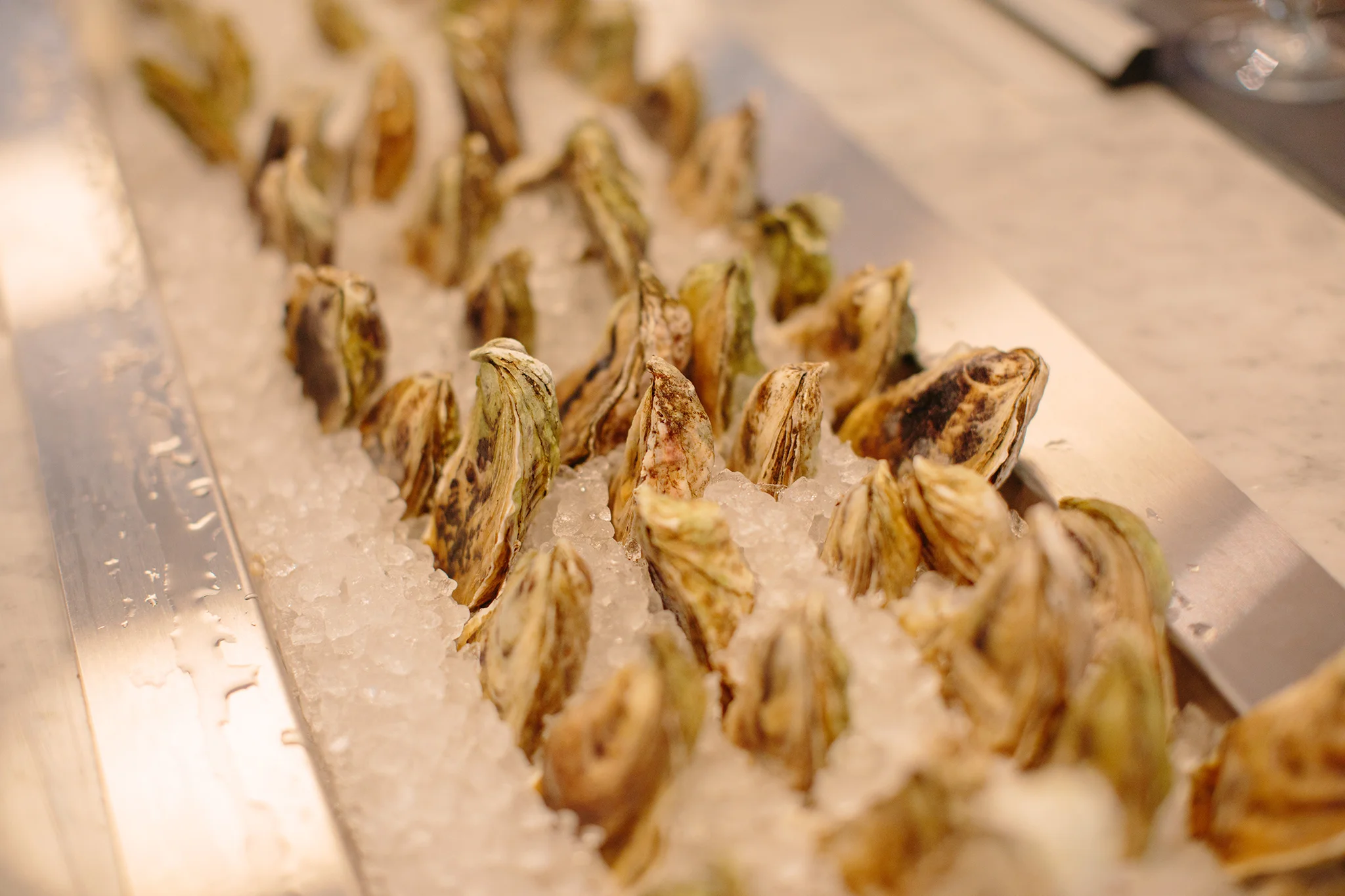 THE OYSTER CLUB_BRIAN SAMUELS PHOTOGRAPHY_JULY 2019-0731 copy.jpg