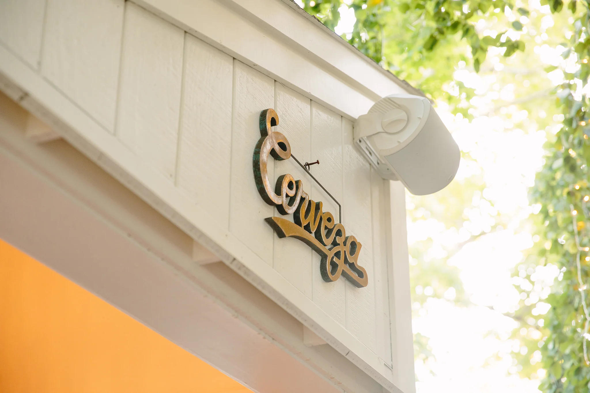 ANEJO_BRIAN SAMUELS PHOTOGRAPHY_AUGUST 2019-0349 copy.jpg