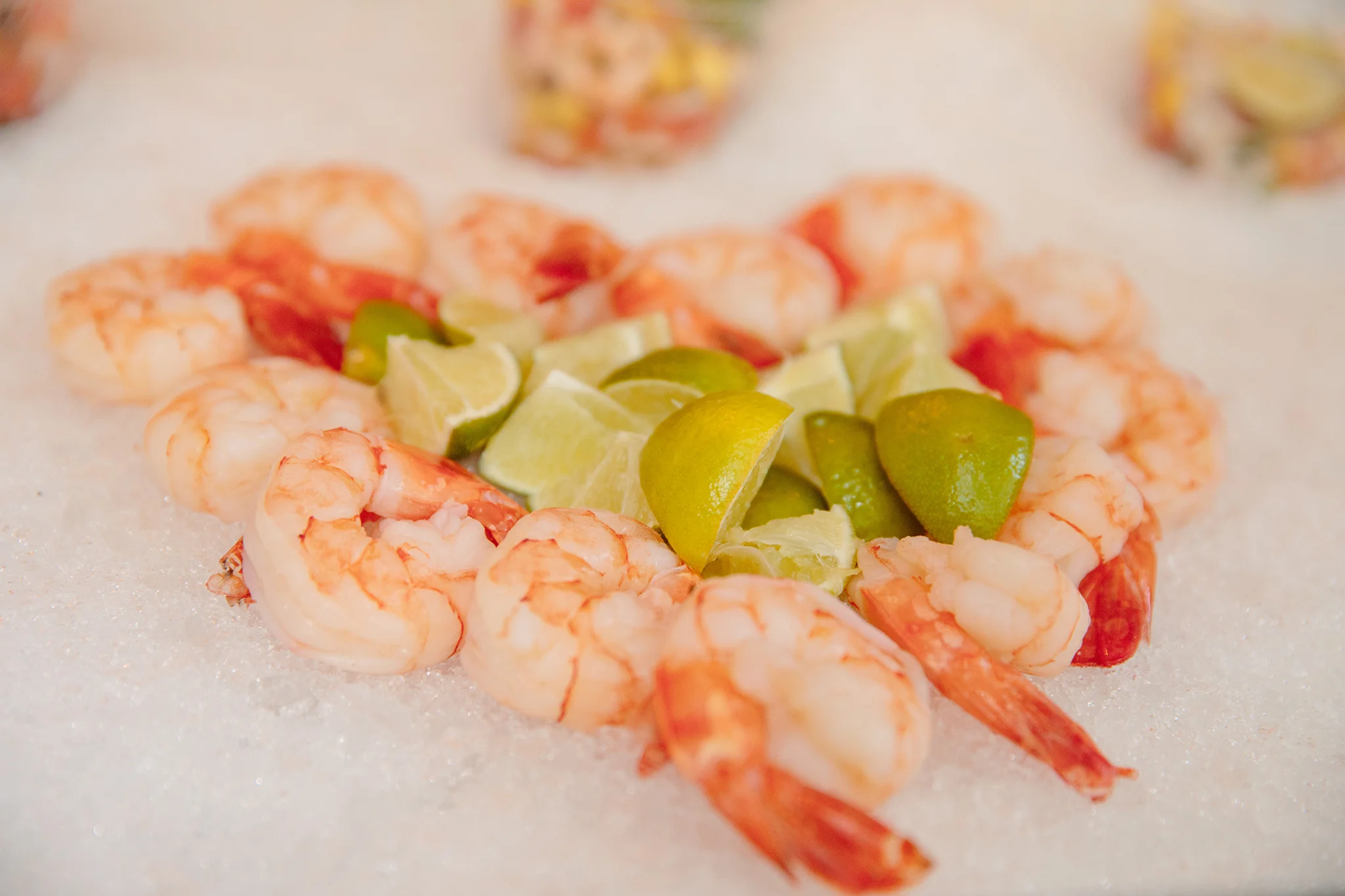 ANEJO_BRIAN SAMUELS PHOTOGRAPHY_AUGUST 2019-0418 copy.jpg