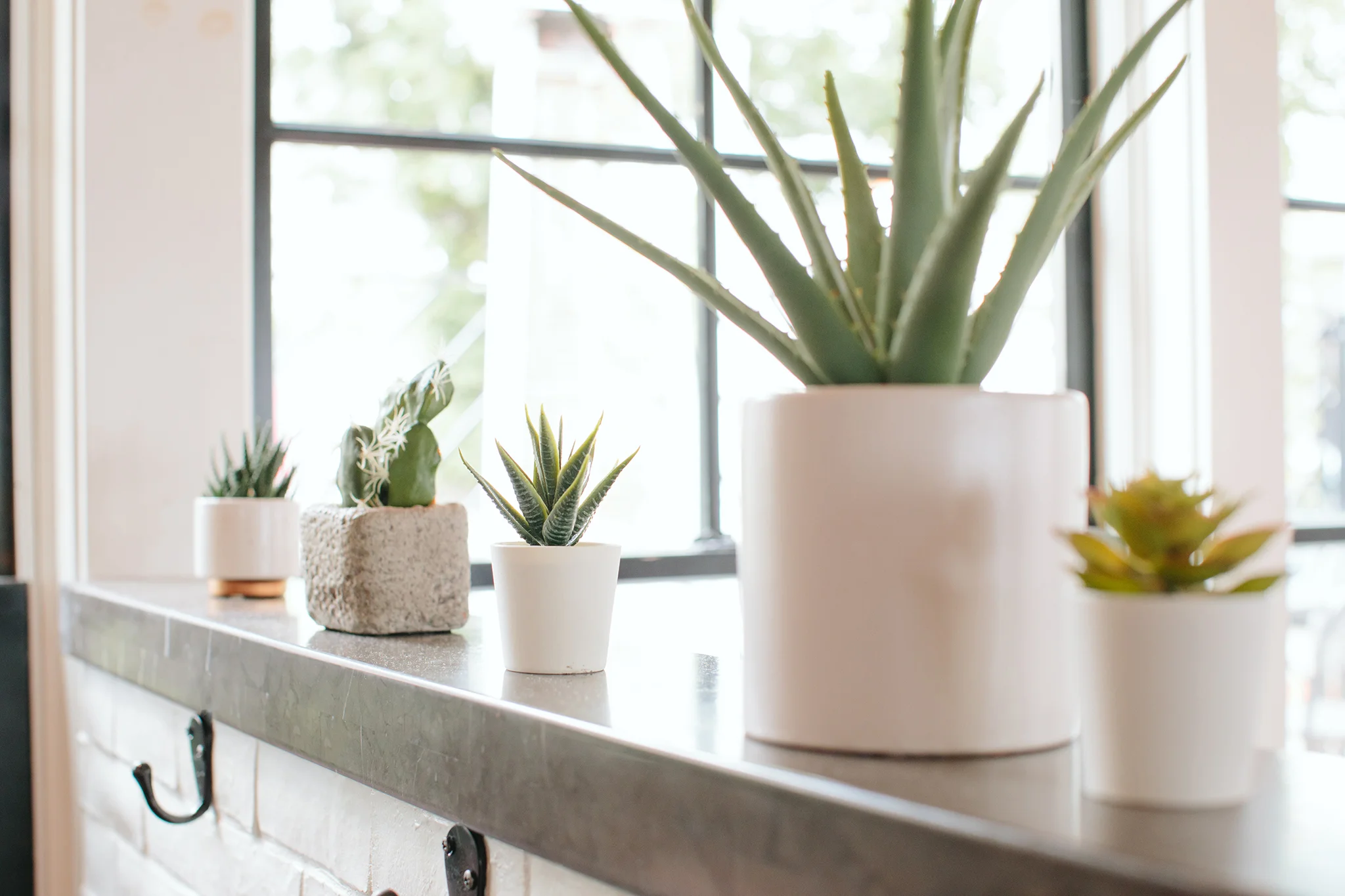 ANEJO_BRIAN SAMUELS PHOTOGRAPHY_SEPTEMBER 2019-0037 copy.jpg