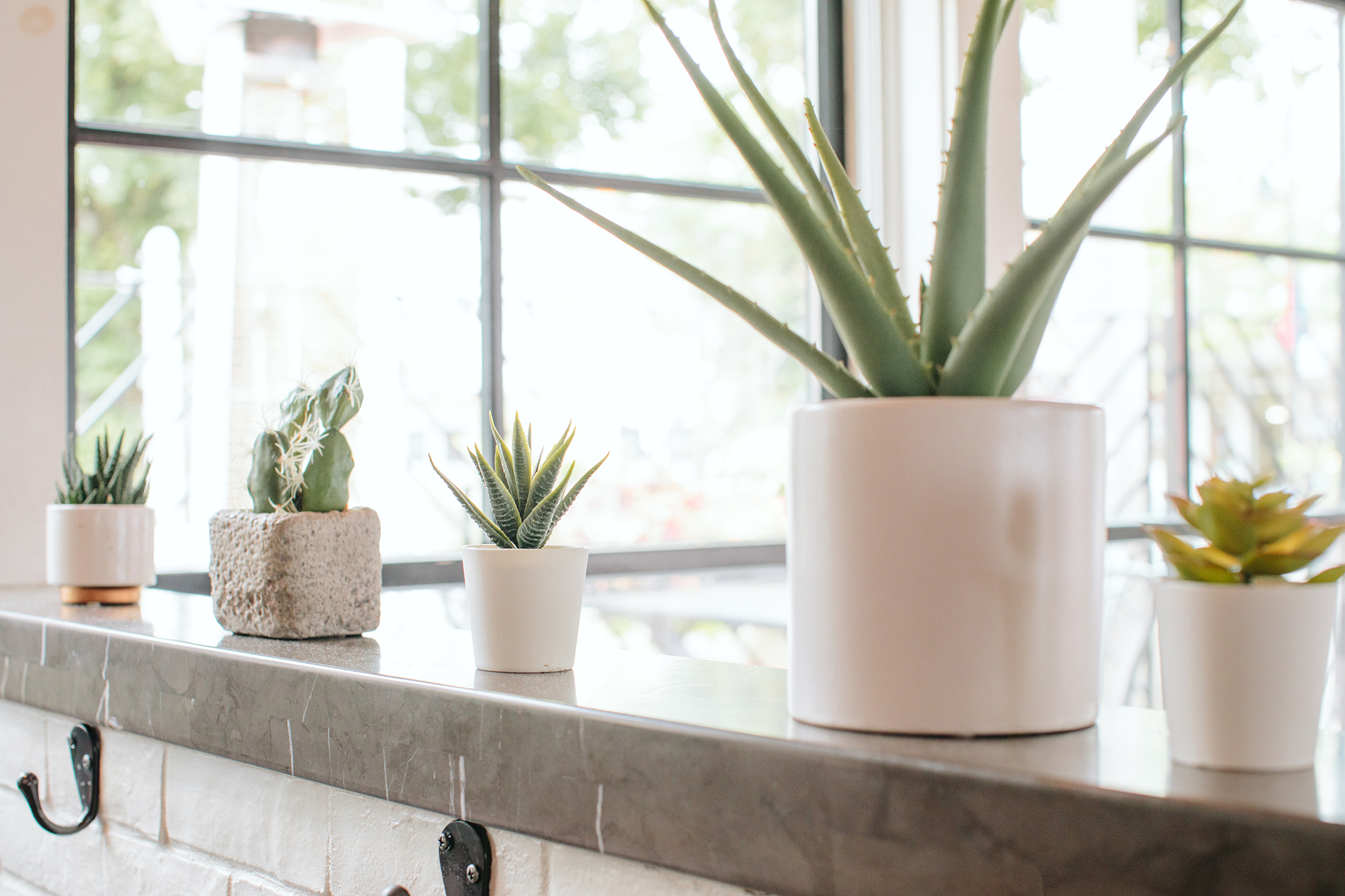 ANEJO_BRIAN SAMUELS PHOTOGRAPHY_SEPTEMBER 2019-0042 copy.jpg