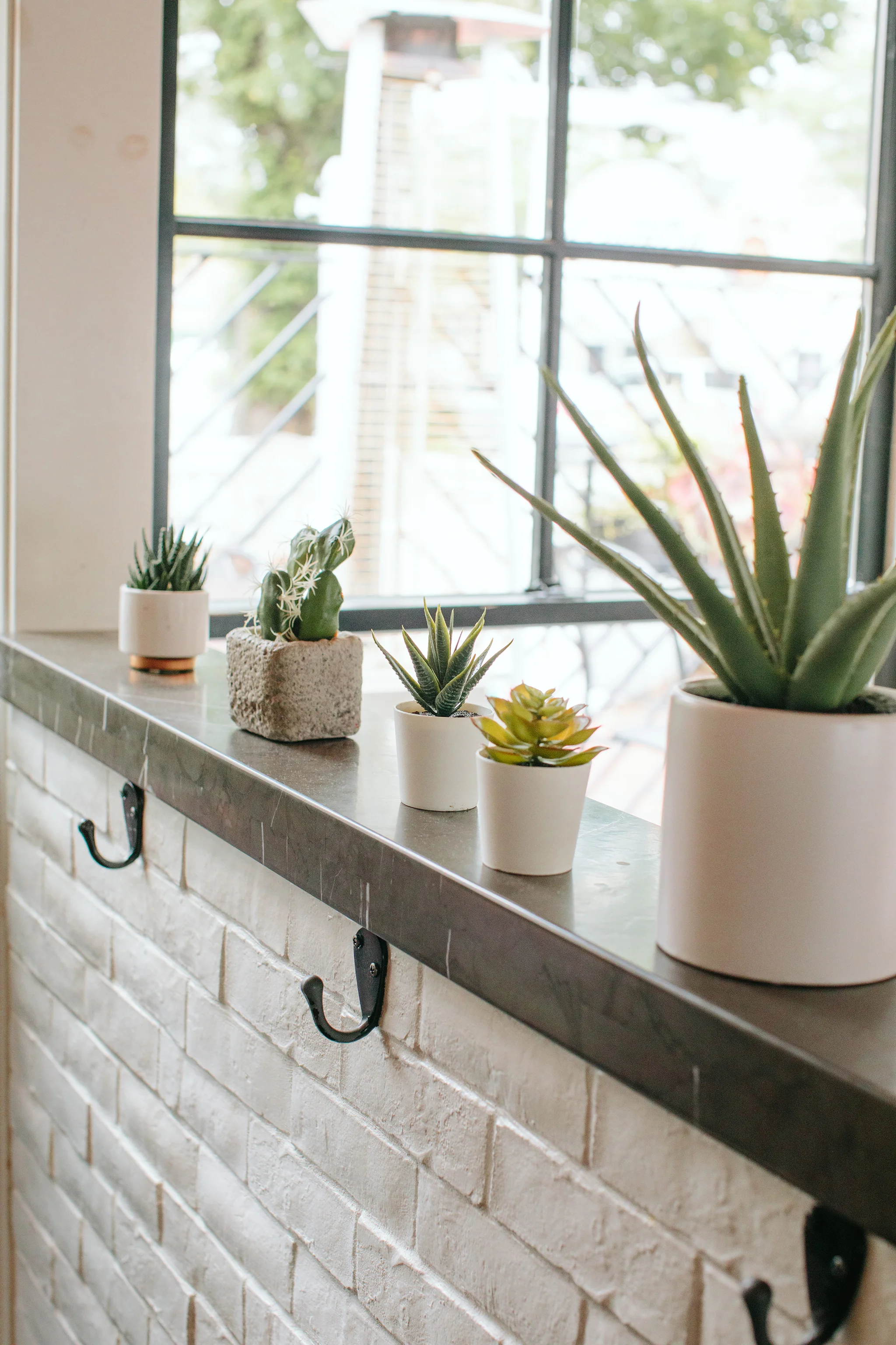 ANEJO_BRIAN SAMUELS PHOTOGRAPHY_SEPTEMBER 2019-0050 copy.jpg