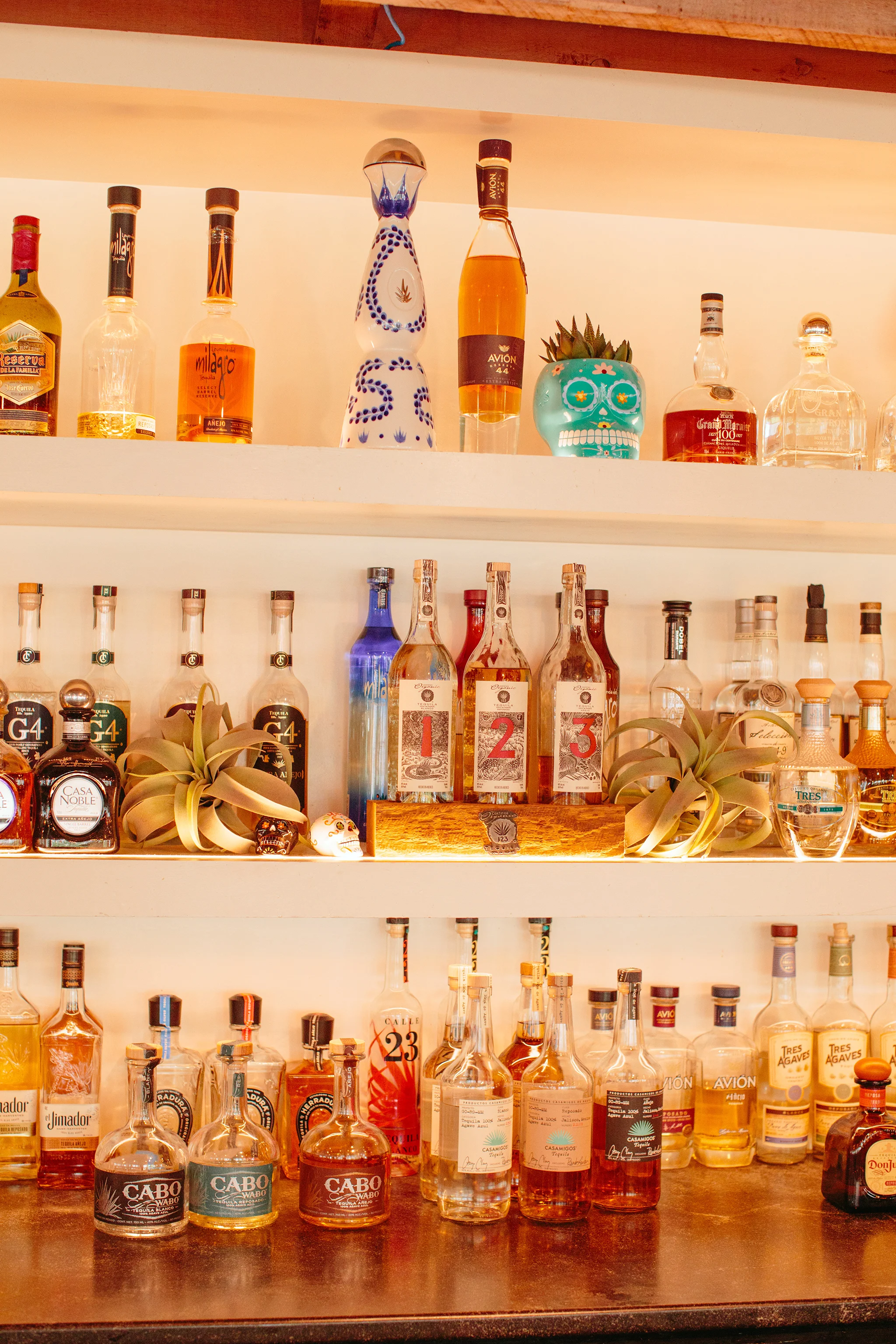 ANEJO_BRIAN SAMUELS PHOTOGRAPHY_SEPTEMBER 2019-0080 copy.jpg