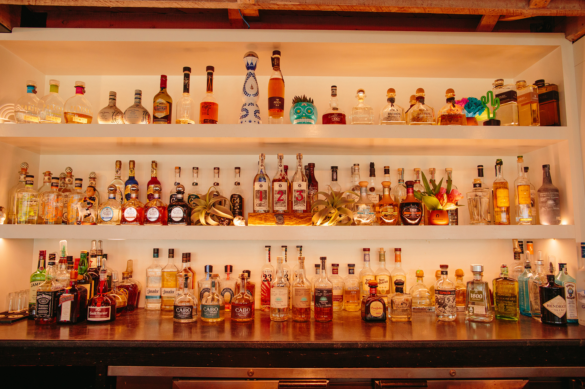 ANEJO_BRIAN SAMUELS PHOTOGRAPHY_SEPTEMBER 2019-0140 copy.jpg