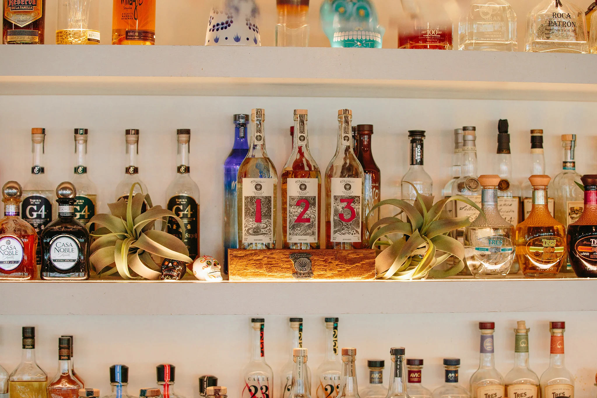 ANEJO_BRIAN SAMUELS PHOTOGRAPHY_SEPTEMBER 2019-0147 copy.jpg