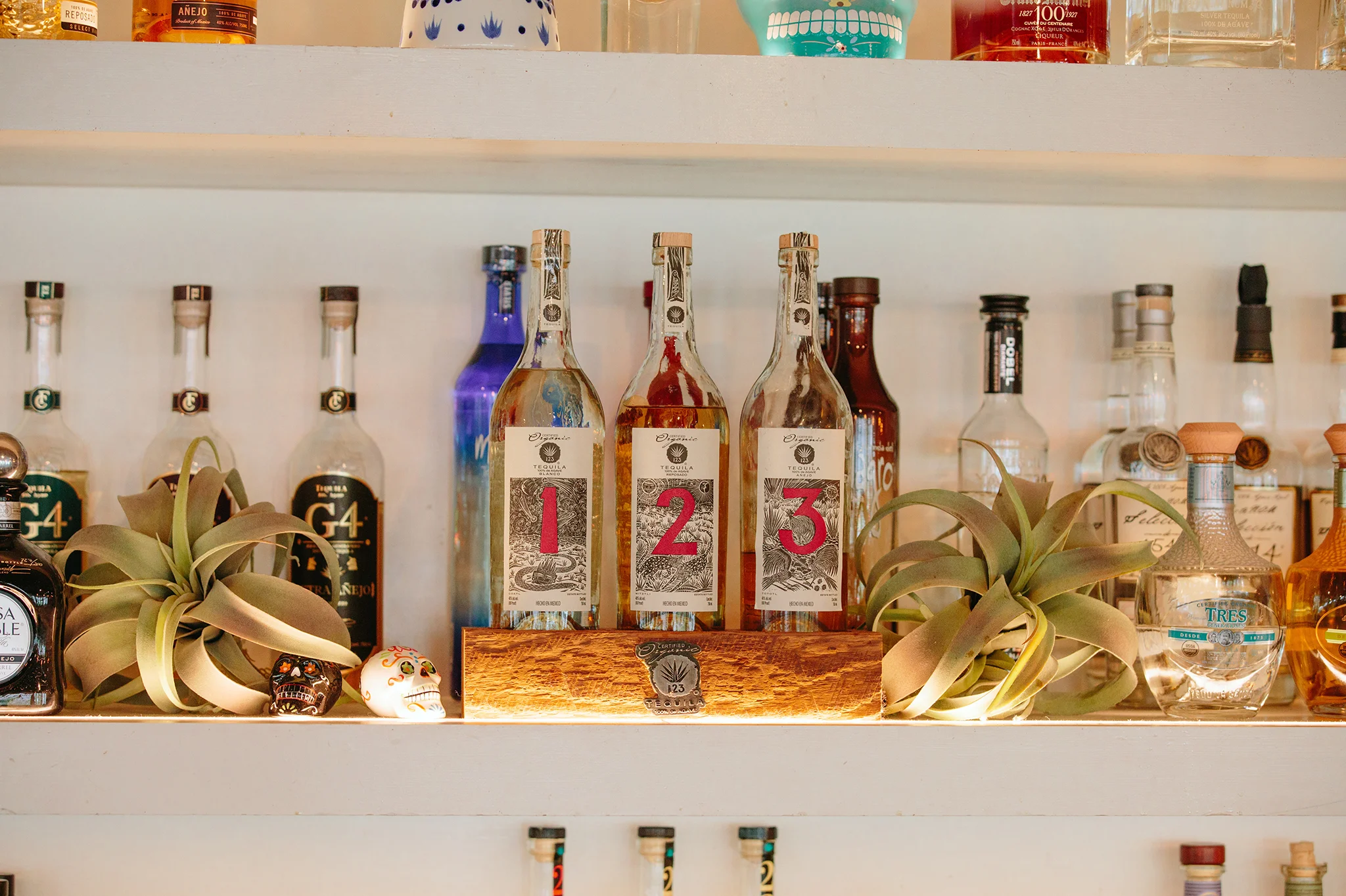 ANEJO_BRIAN SAMUELS PHOTOGRAPHY_SEPTEMBER 2019-0151 copy.jpg