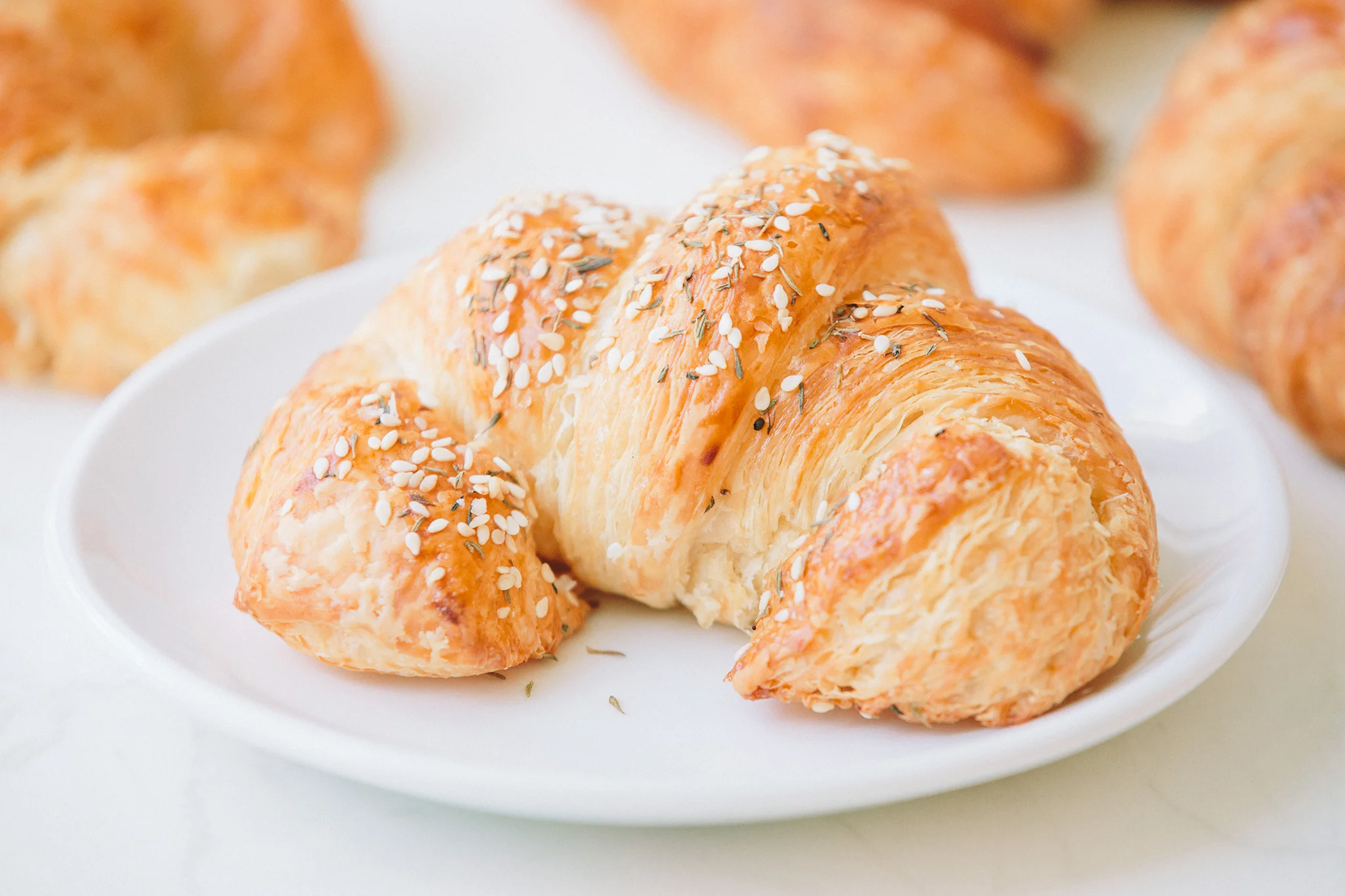 AMIE BAKERY_BRIAN SAMUELS PHOTOGRAPHY_SEPTEMBER 2019-0492 copy.jpg