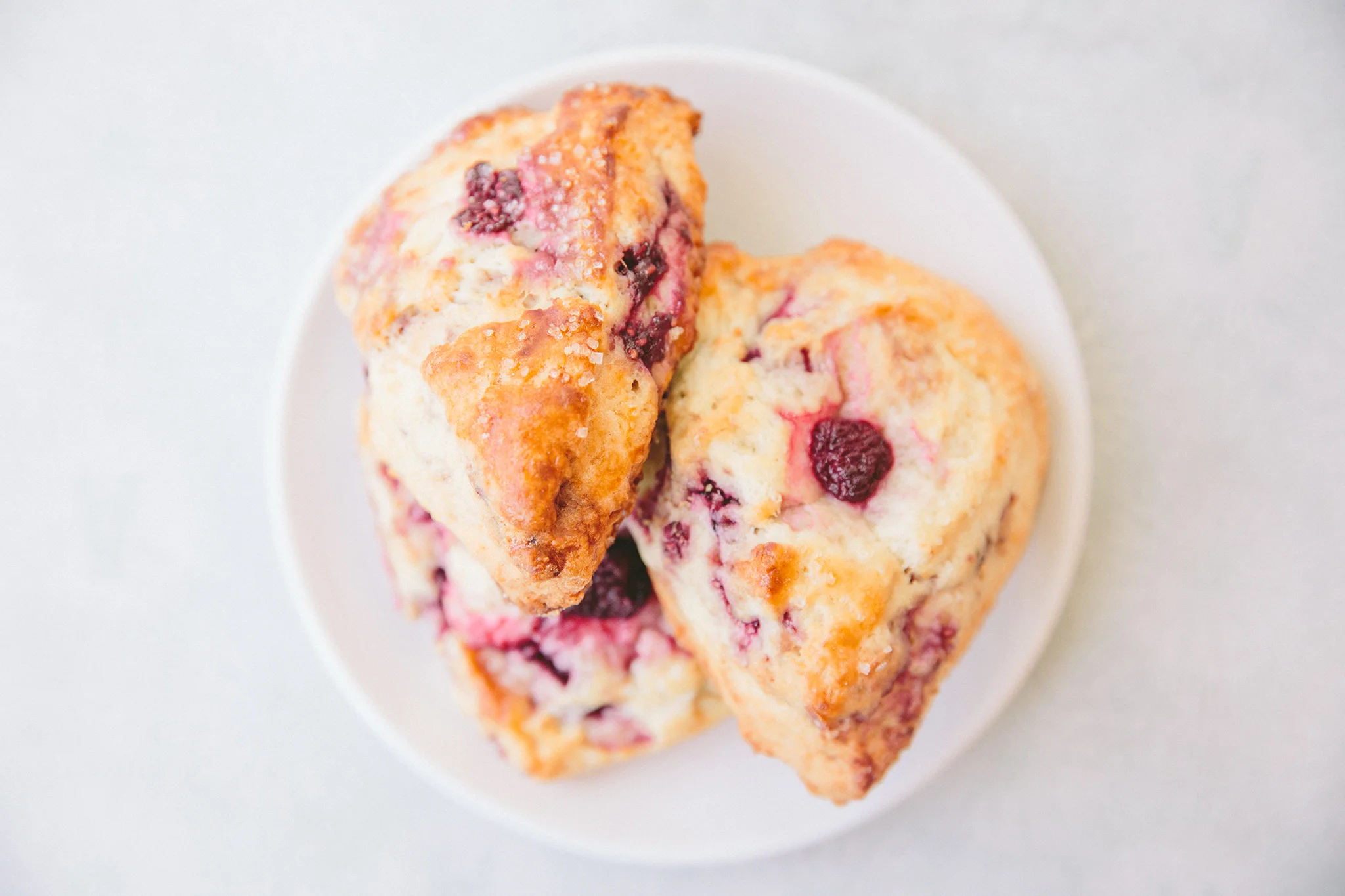 AMIE BAKERY_BRIAN SAMUELS PHOTOGRAPHY_SEPTEMBER 2019-0678 copy.jpg