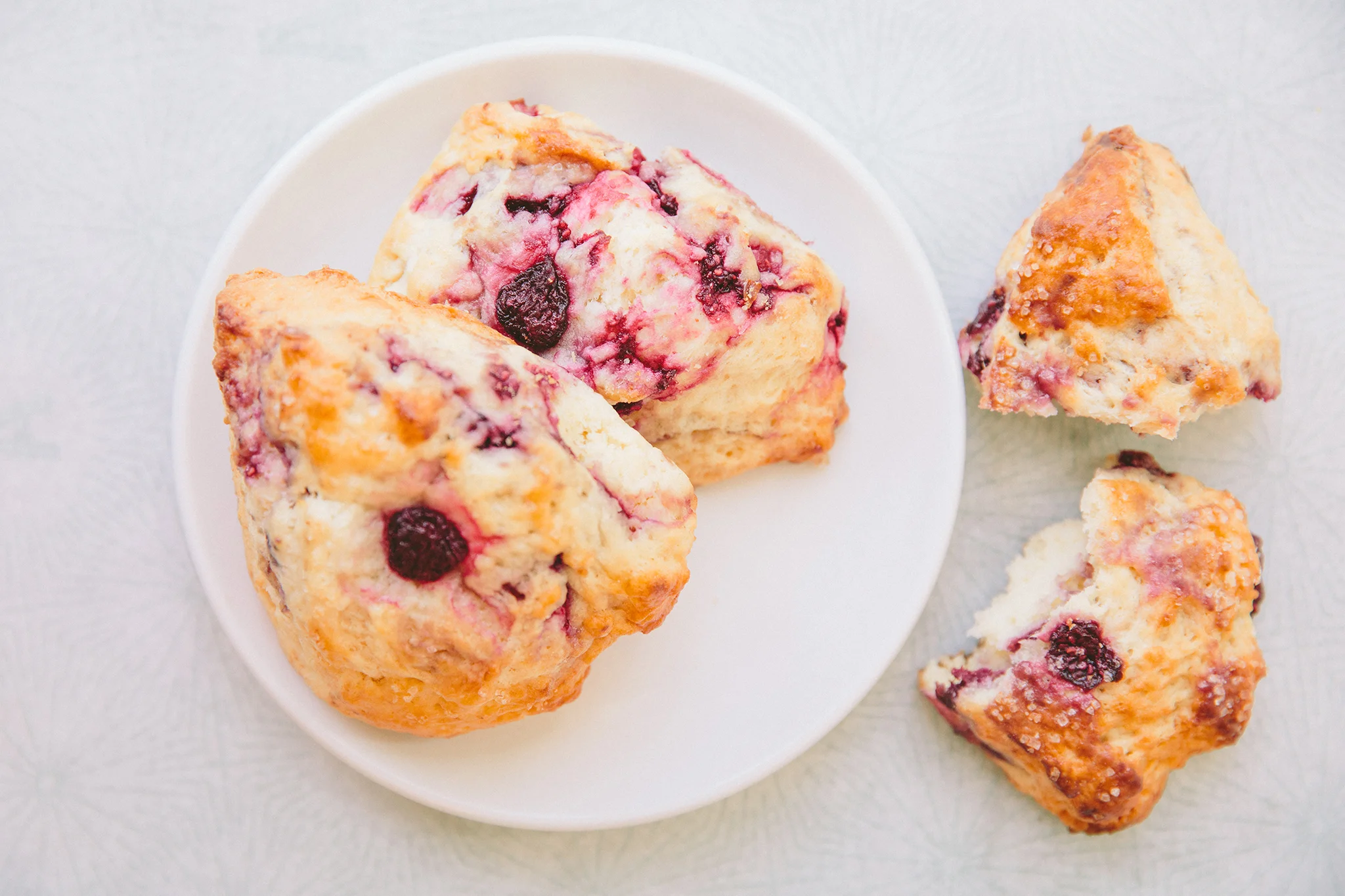 AMIE BAKERY_BRIAN SAMUELS PHOTOGRAPHY_SEPTEMBER 2019-0706 copy.jpg