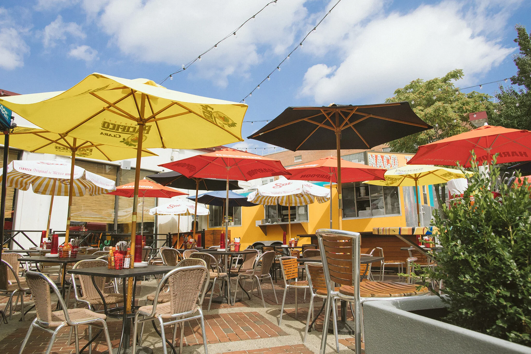 NACO TACO_BRIAN SAMUELS PHOTOGRAPHY_SEPTEMBER 2019-0016 copy.jpg