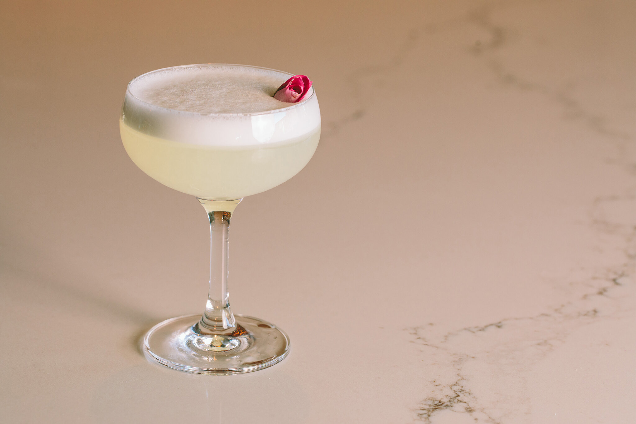 CHICKADEE_BRIAN SAMUELS PHOTOGRAPHY_SEPTEMBER 2019-0769 copy.jpg