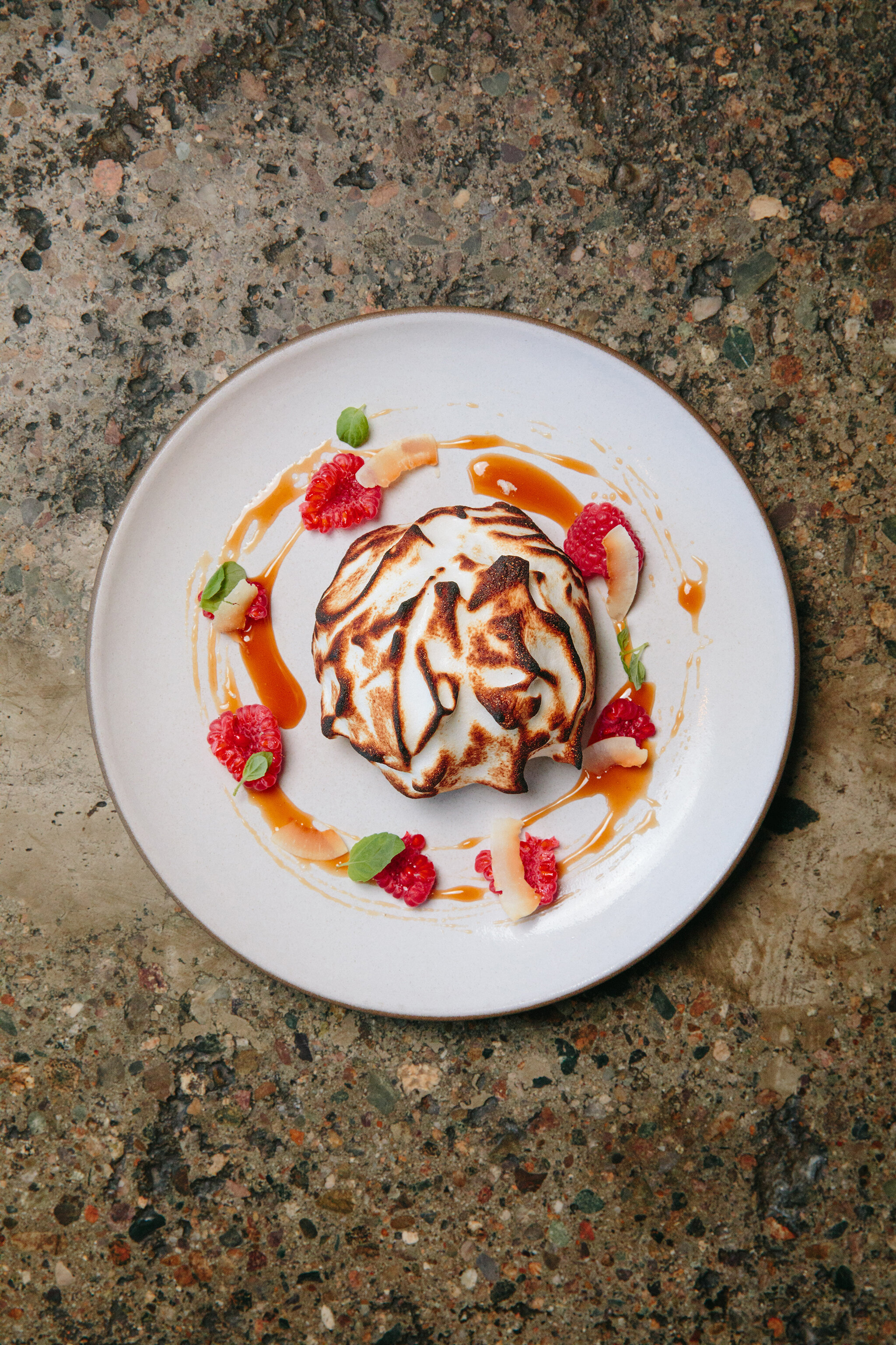 CHICKADEE_BRIAN SAMUELS PHOTOGRAPHY_SEPTEMBER 2019-0764 copy.jpg