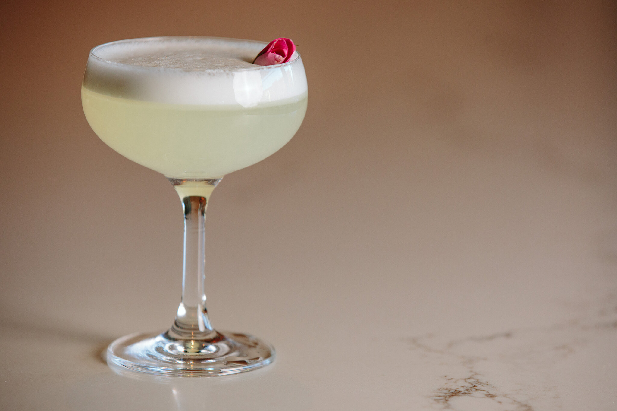 CHICKADEE_BRIAN SAMUELS PHOTOGRAPHY_SEPTEMBER 2019-0776 copy.jpg