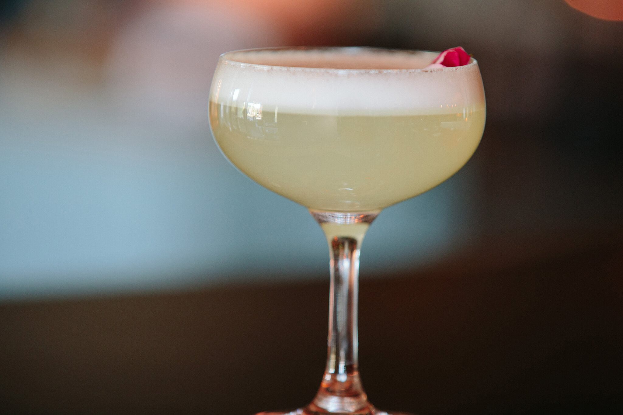 CHICKADEE_BRIAN SAMUELS PHOTOGRAPHY_SEPTEMBER 2019-1003 copy.jpg