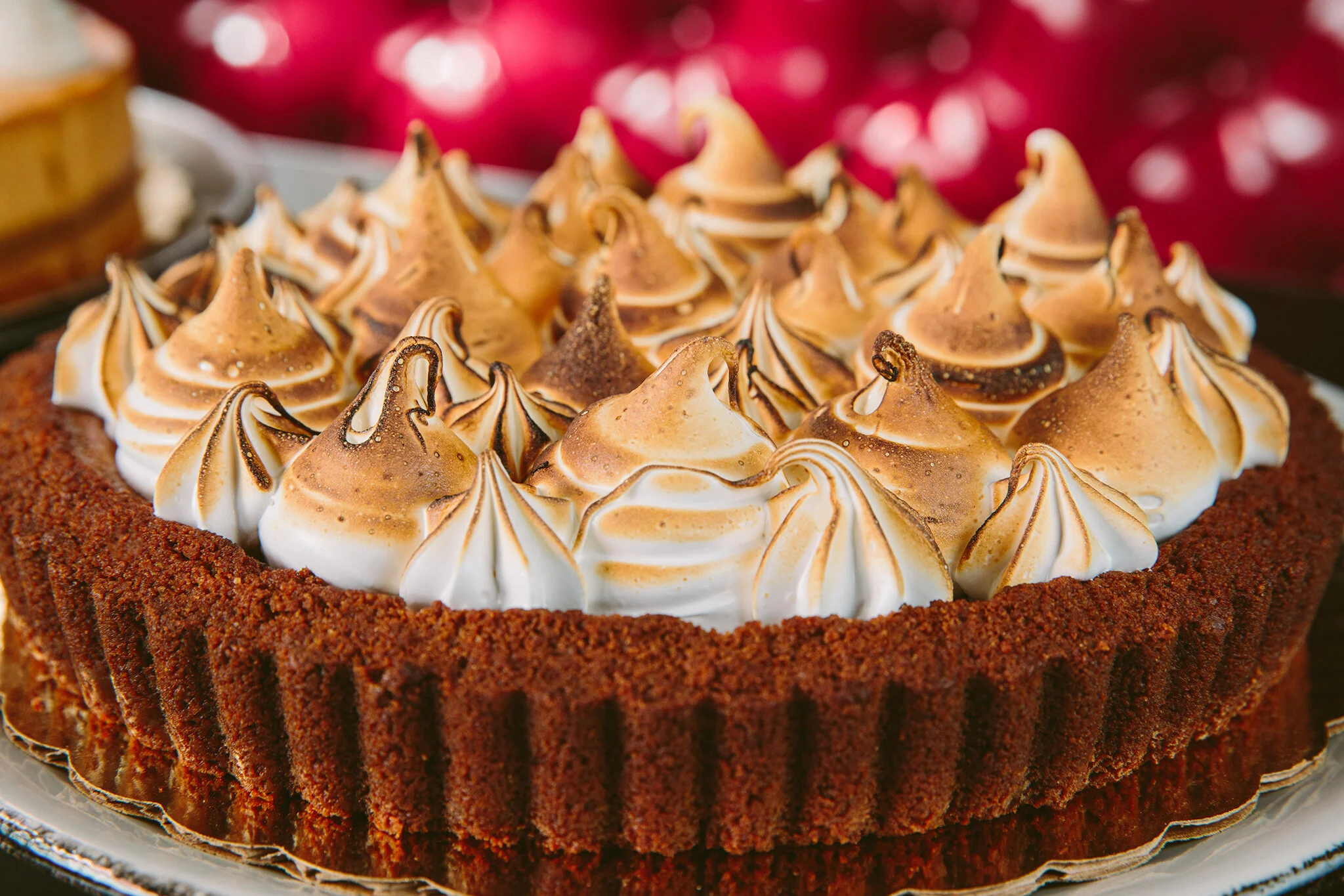 ROSEBUD_BRIAN SAMUELS PHOTOGRAPHY_SEPTEMBER 2019-0006 copy.jpg