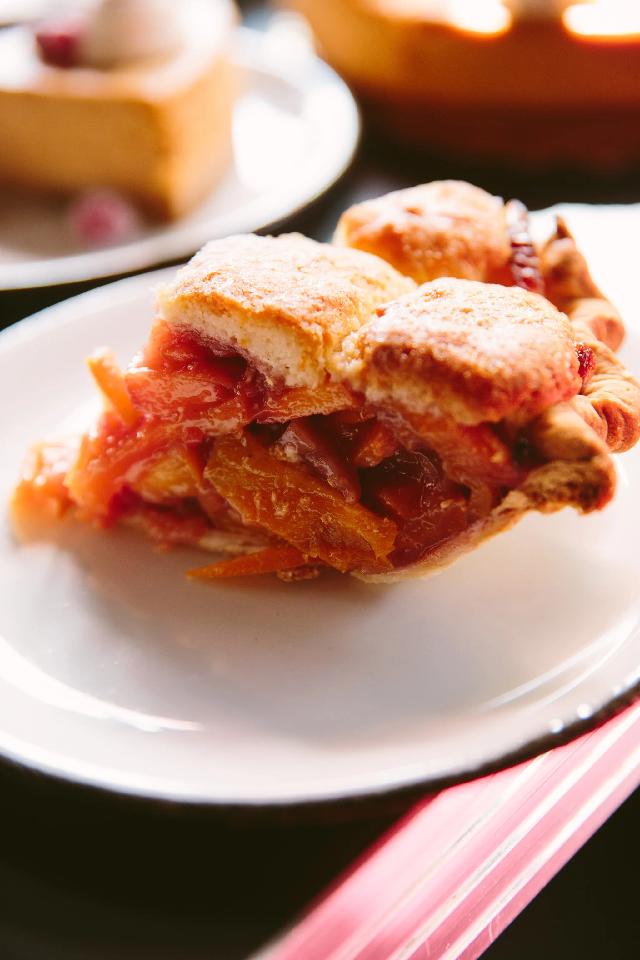 ROSEBUD_BRIAN SAMUELS PHOTOGRAPHY_SEPTEMBER 2019-0154 copy.jpg