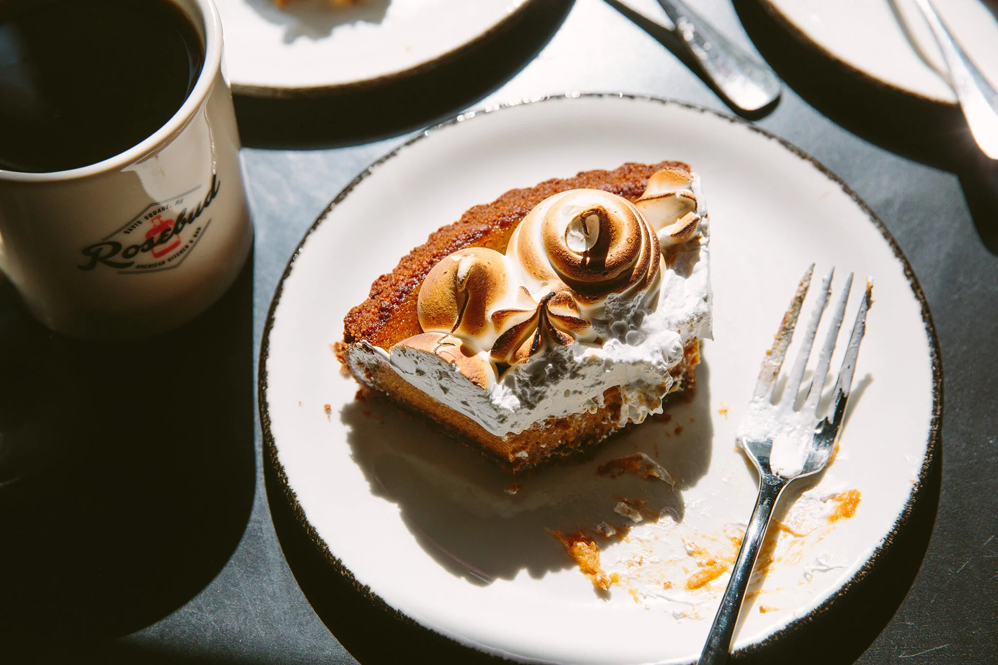 ROSEBUD_BRIAN SAMUELS PHOTOGRAPHY_SEPTEMBER 2019-0317 copy.jpg