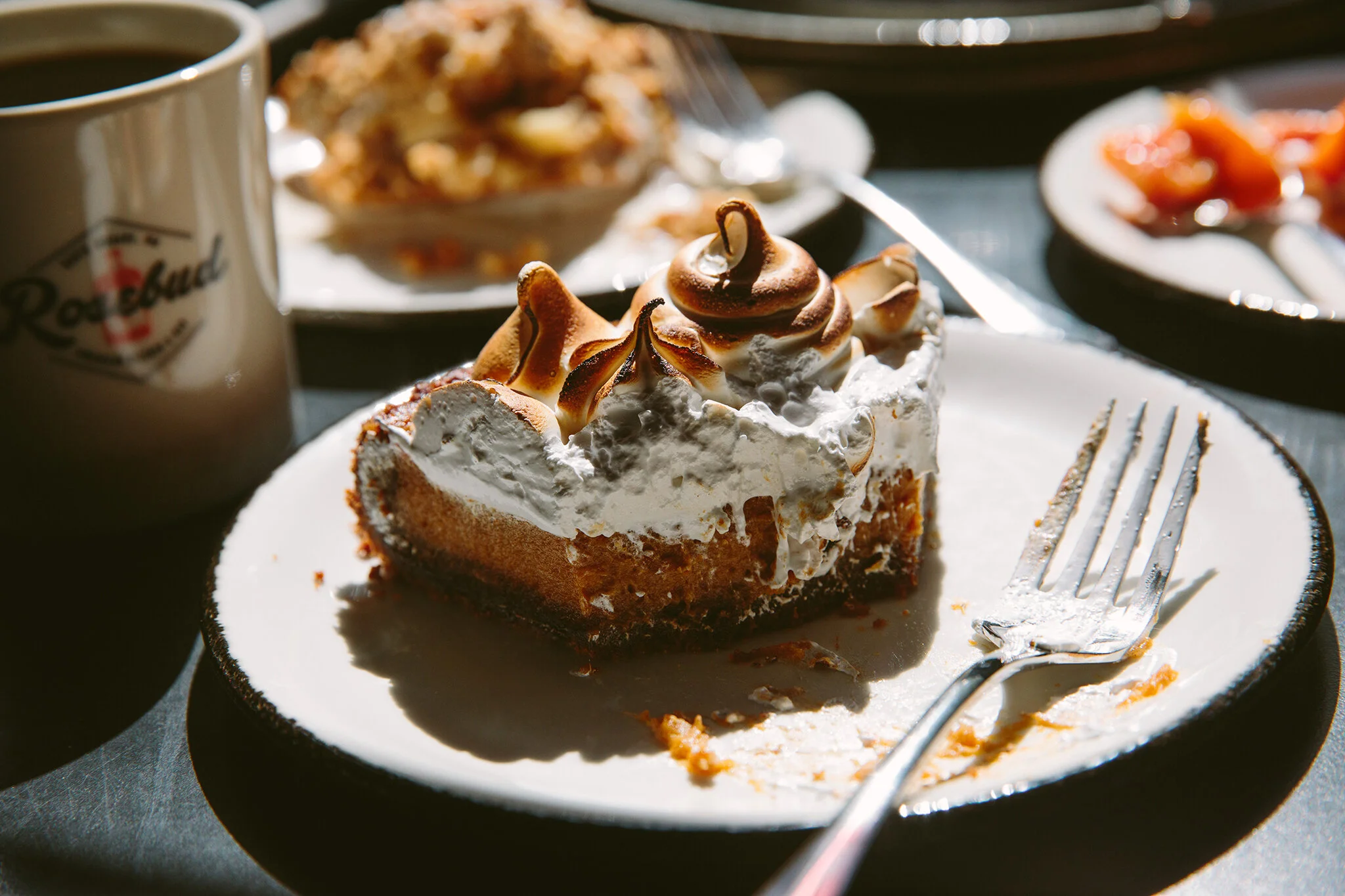 ROSEBUD_BRIAN SAMUELS PHOTOGRAPHY_SEPTEMBER 2019-0320 copy.jpg