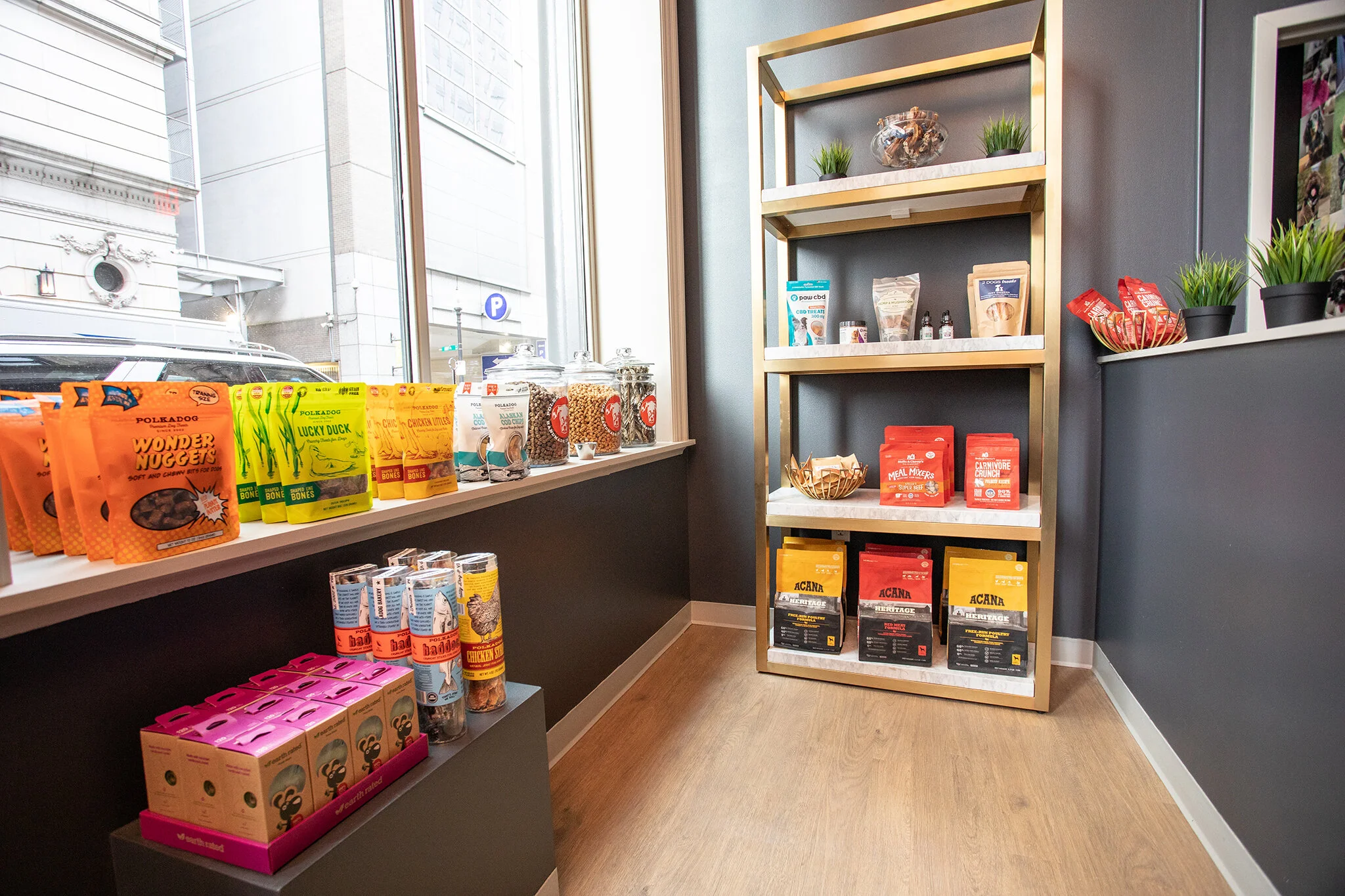 THE URBAN HOUND_BOYLSTON OPENING EVENT_BRIAN SAMUELS PHOTOGRAPHY_OCTOBER 2019-0180 copy.jpg