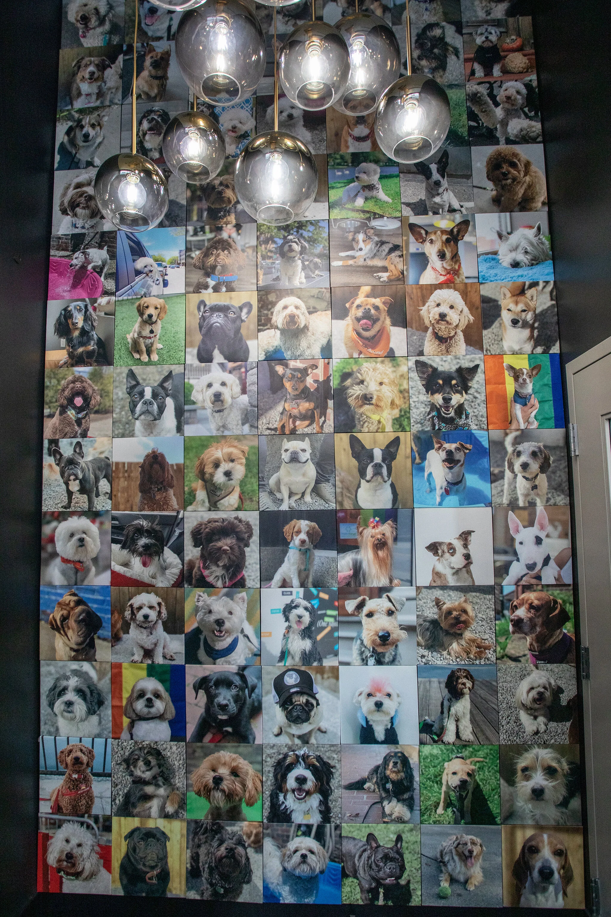 THE URBAN HOUND_BOYLSTON OPENING EVENT_BRIAN SAMUELS PHOTOGRAPHY_OCTOBER 2019-0193 copy.jpg