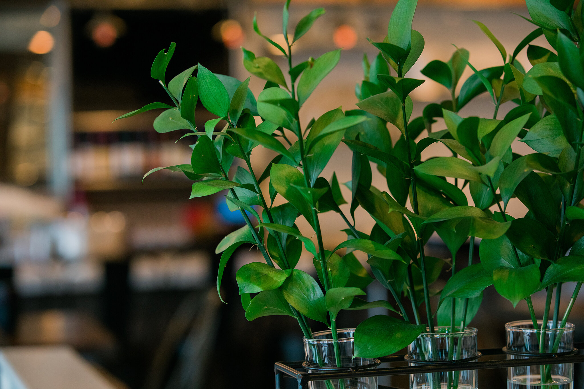 CRISP_BRIAN SAMUELS PHOTOGRAPHY_OCTOBER 2019-0065 copy.jpg