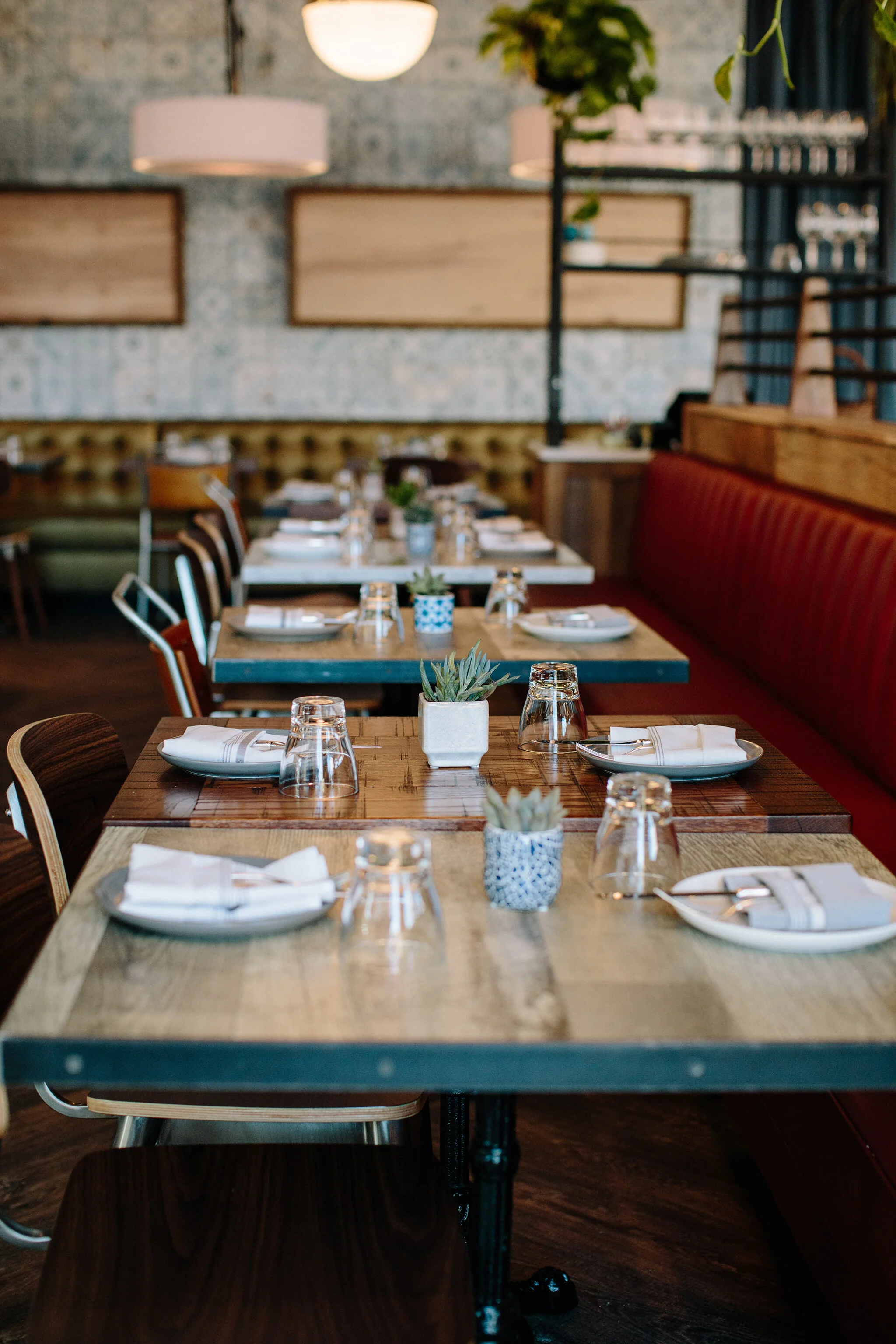 FRANK_BRIAN SAMUELS PHOTOGRAPHY_NOVEMBER 2019-0049 copy.jpg