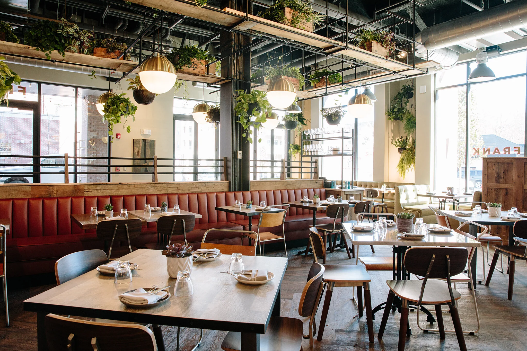 FRANK_BRIAN SAMUELS PHOTOGRAPHY_NOVEMBER 2019-0081 copy.jpg
