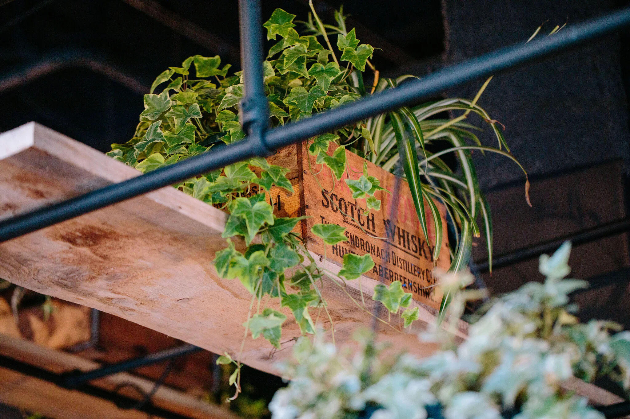 FRANK_BRIAN SAMUELS PHOTOGRAPHY_NOVEMBER 2019-0680 copy.jpg