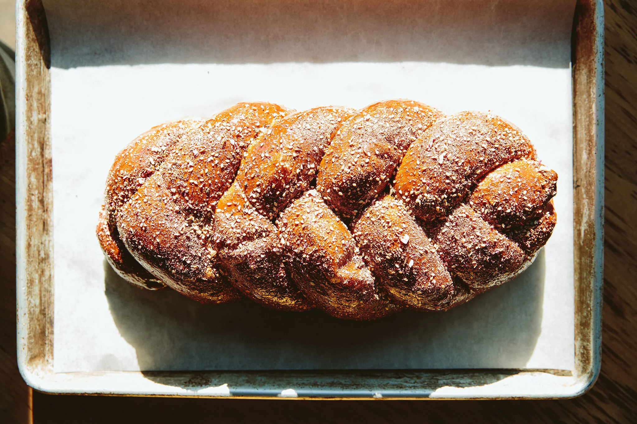 SARMA_BRIAN SAMUELS PHOTOGRAPHY_DECEMBER 2019-0484 copy.jpg