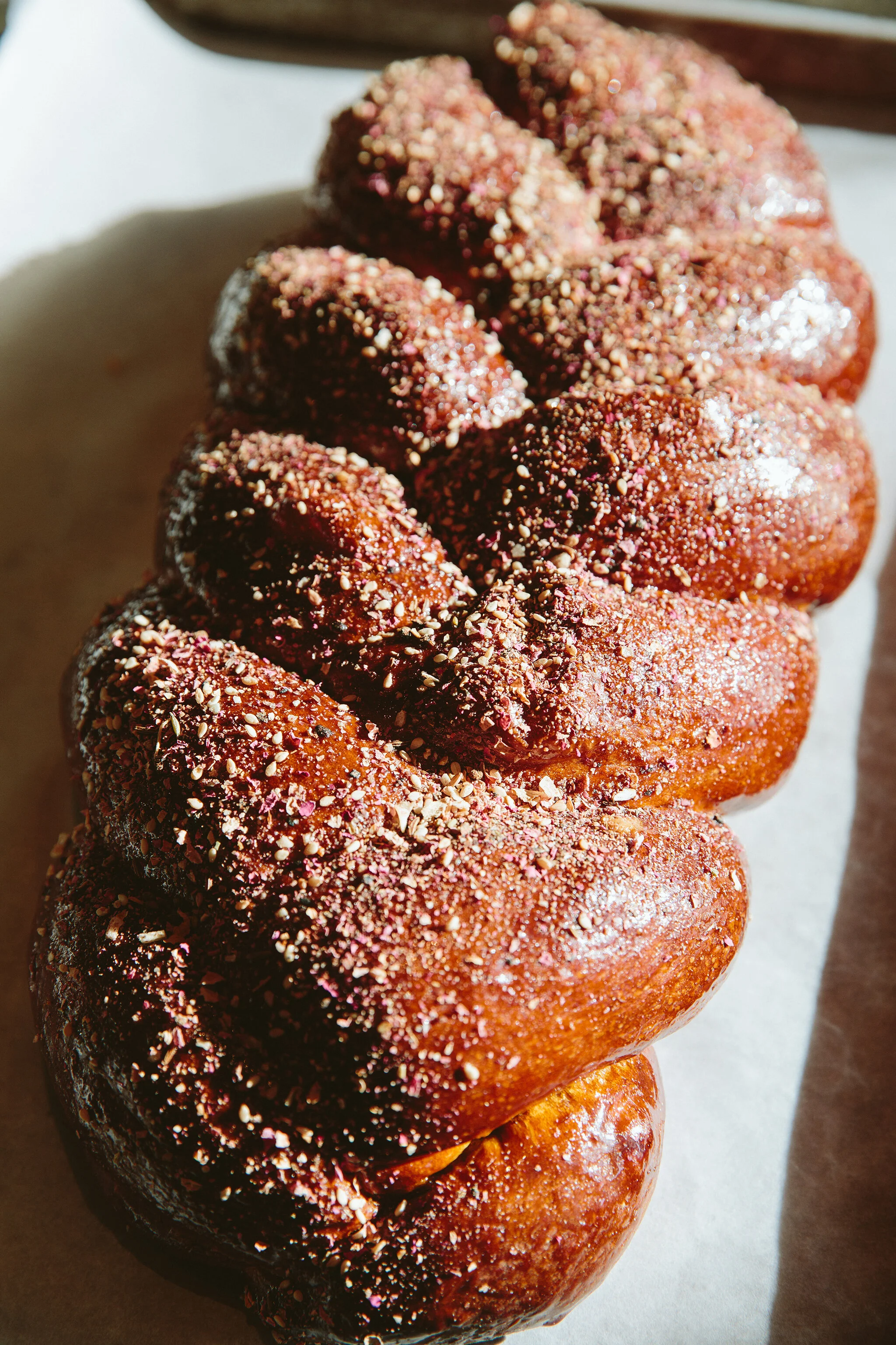 SARMA_BRIAN SAMUELS PHOTOGRAPHY_DECEMBER 2019-0470 copy.jpg