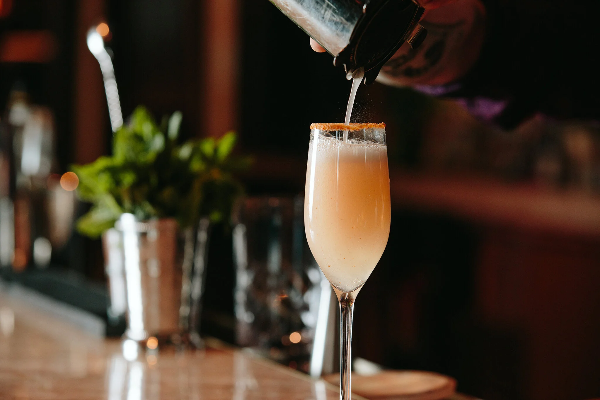 BAMBARA_KIMPTON_BRIAN SAMUELS PHOTOGRAPHY_DECEMBER 2019-1223 copy.jpg