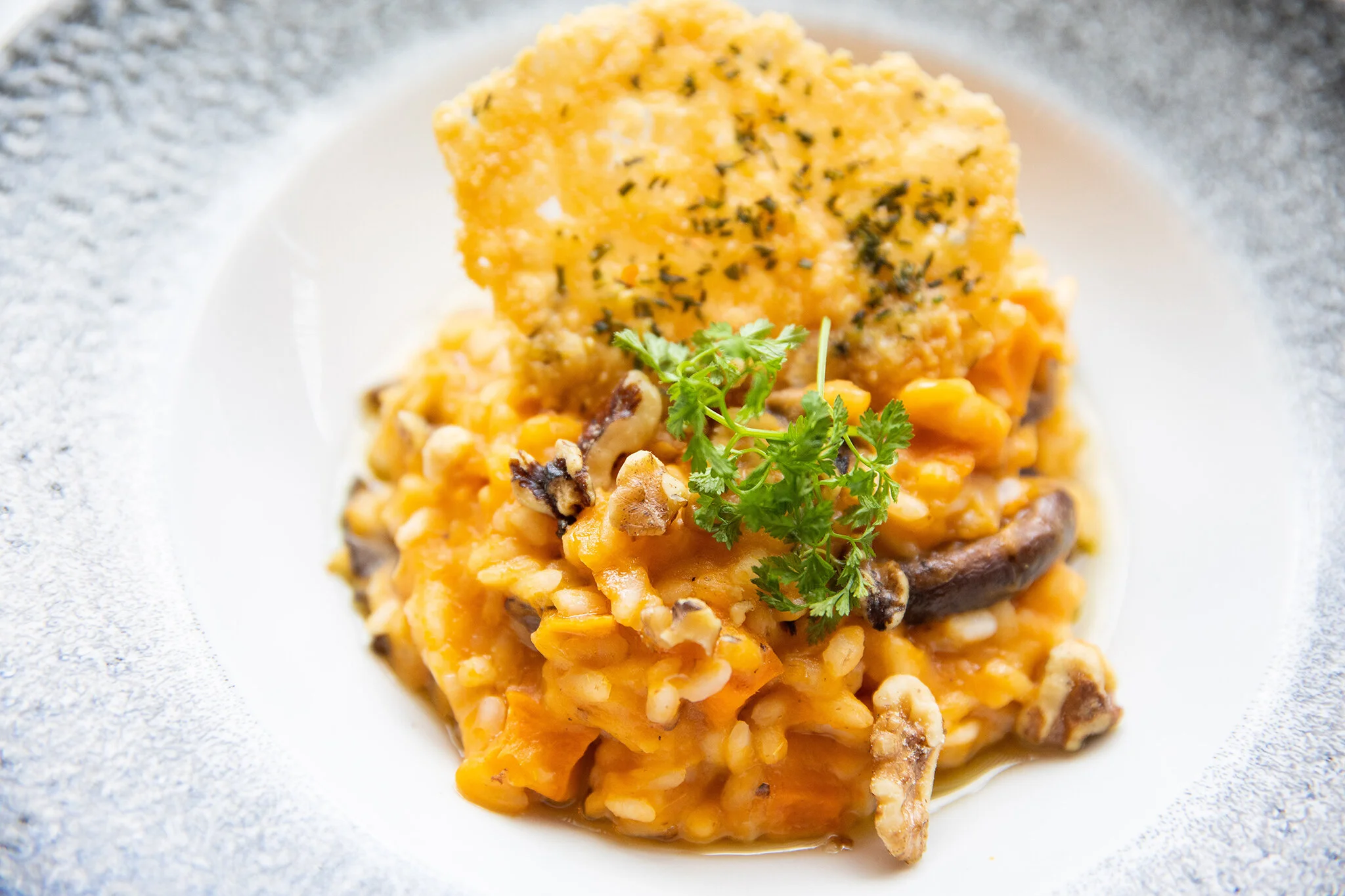 COLETTE_BRIAN SAMUELS PHOTOGRAPHY_JANUARY 2020-0910 copy.jpg