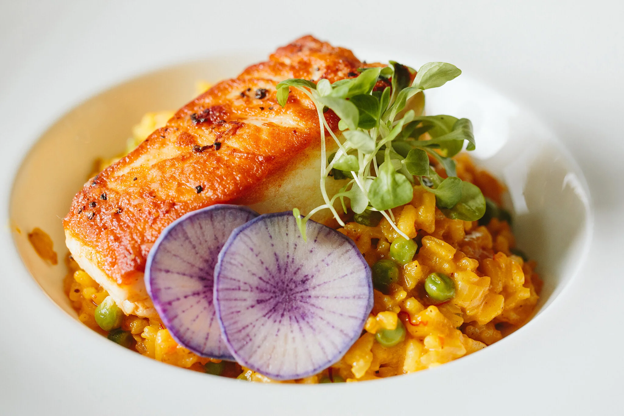 LA FINA ANDOVER_BRIAN SAMUELS PHOTOGRAPHY_FEBRUARY 2020-0542 copy.jpg