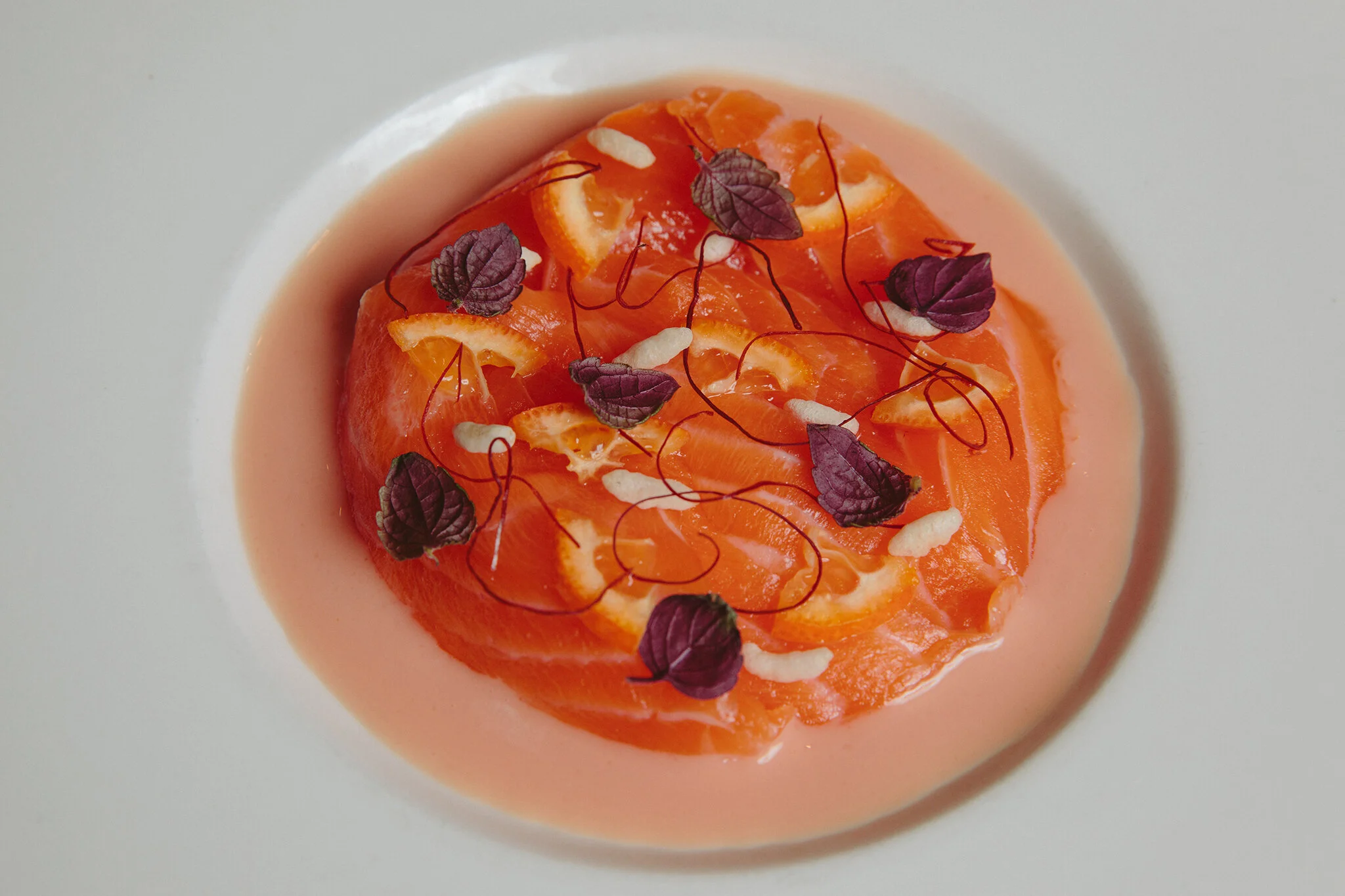 TROQUET_BRIAN SAMUELS PHOTOGRAPHY_FEBRUARY 2020-0044 copy.jpg