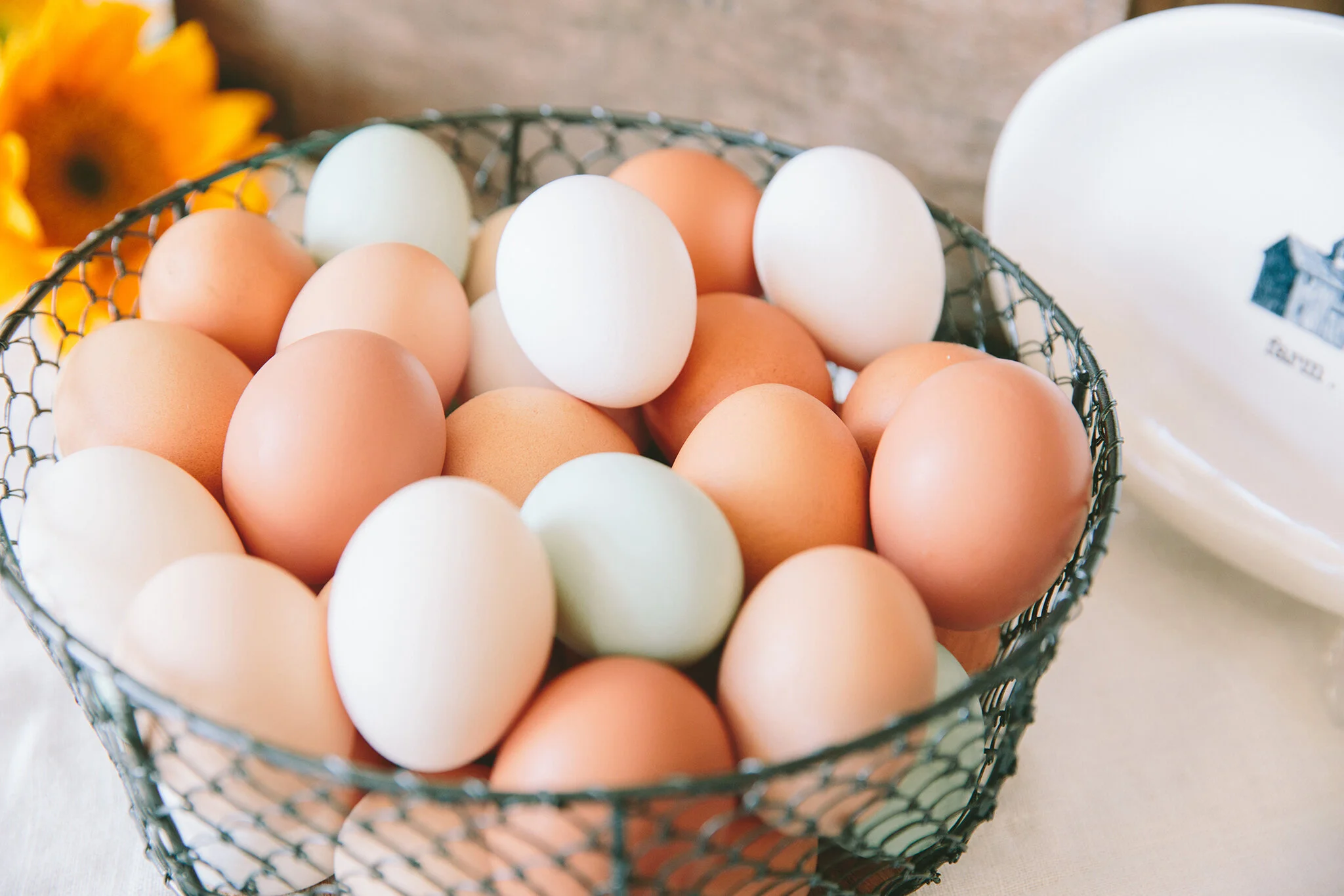 SALTBOX FARM AND KITCHEN_BRIAN SAMUELS PHOTOGRAPHY_MARCH 2020-0261 copy.jpg