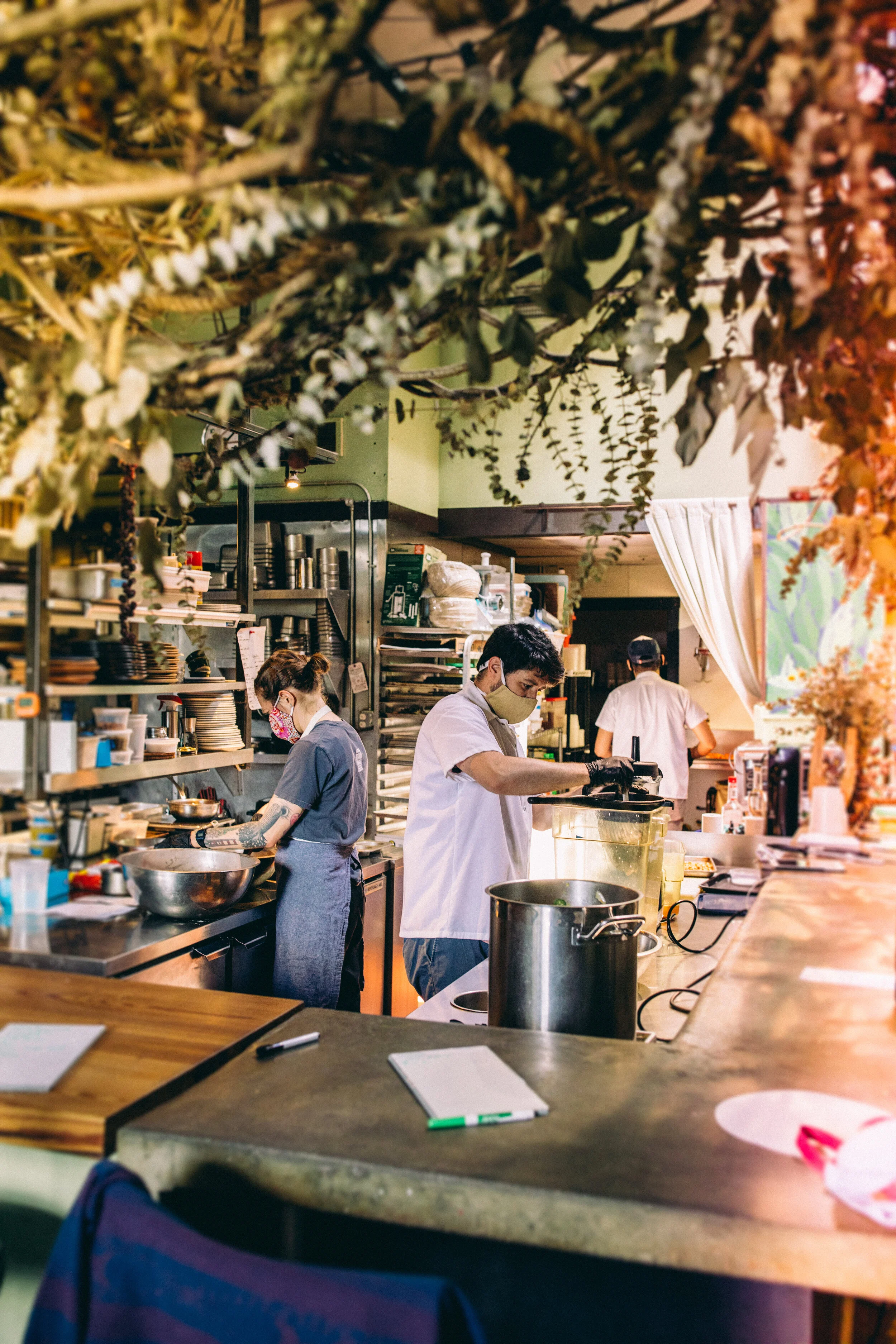 ANDREW BRADY FIELD AND VINE_COVID PORTRAITS-0803.jpg