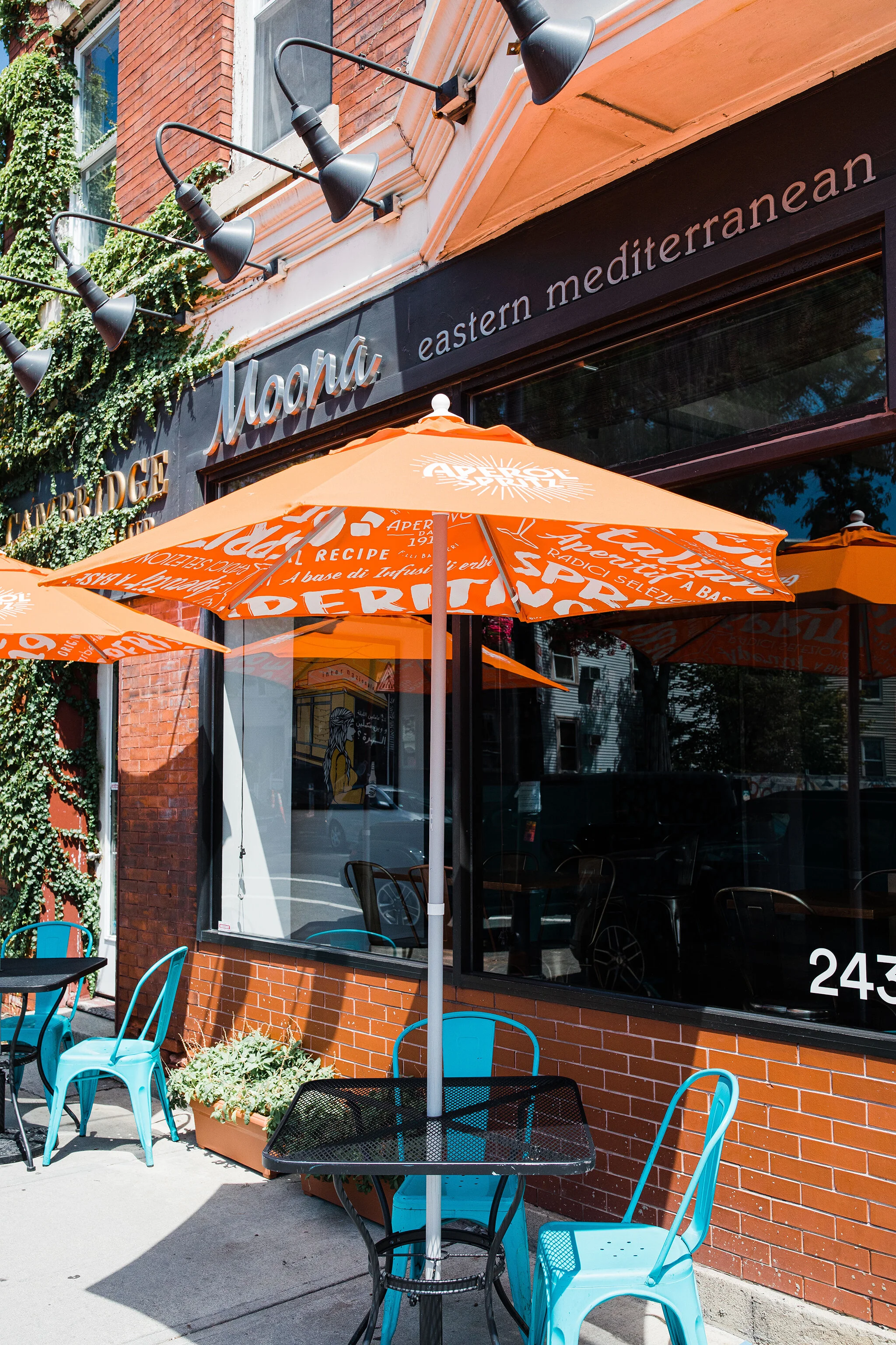 MOONA_BRIAN SAMUELS PHOTOGRAPHY_AUGUST 2020-0111 copy.jpg