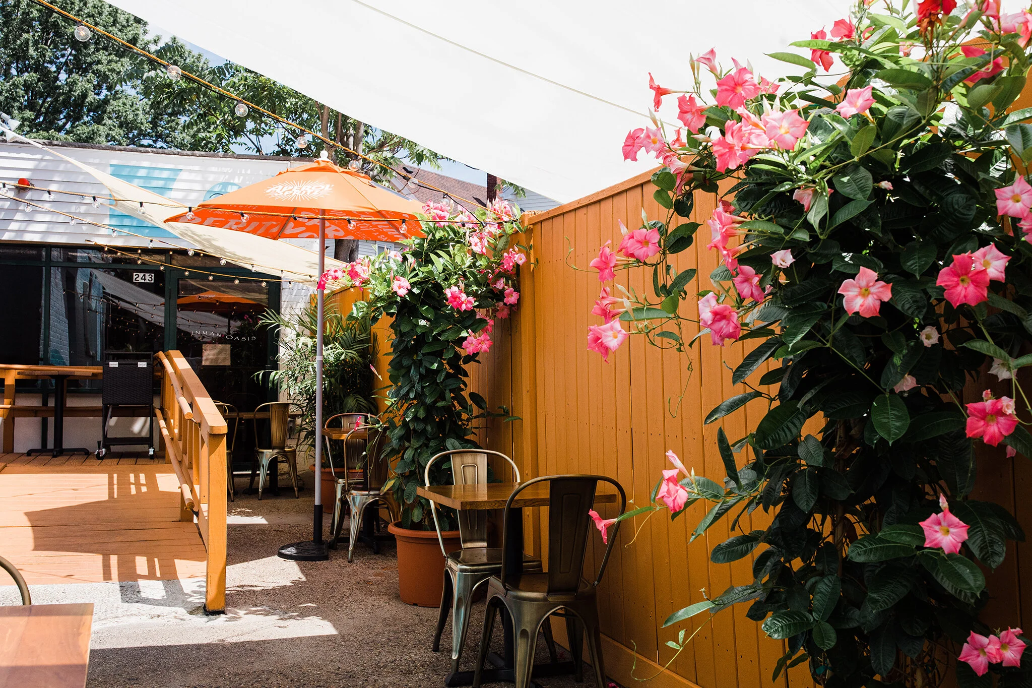 MOONA_BRIAN SAMUELS PHOTOGRAPHY_AUGUST 2020-0123 copy.jpg