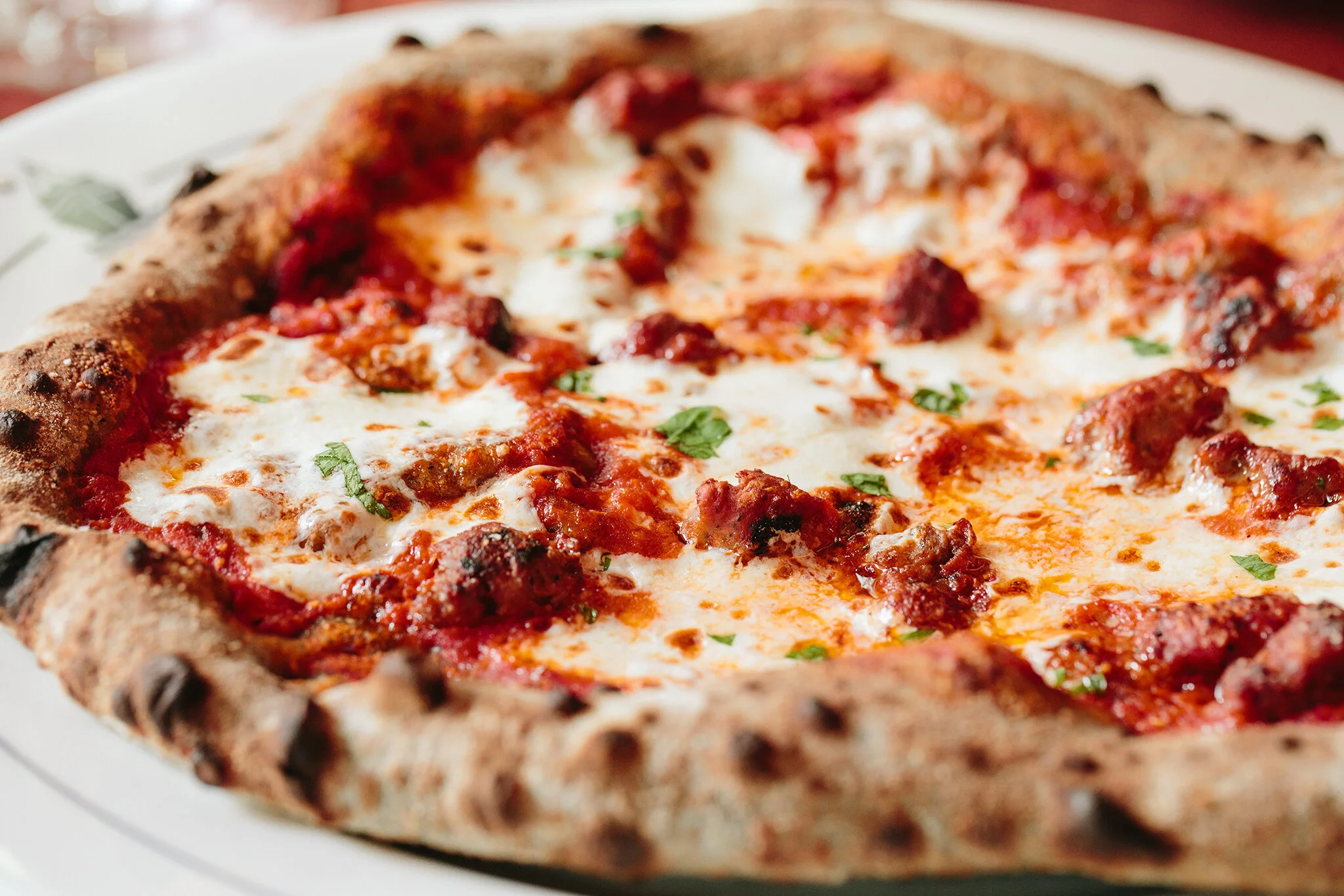 SERVIA_BRIAN SAMUELS PHOTOGRAPHY_SEPTEMBER 2020-0456 copy.jpg