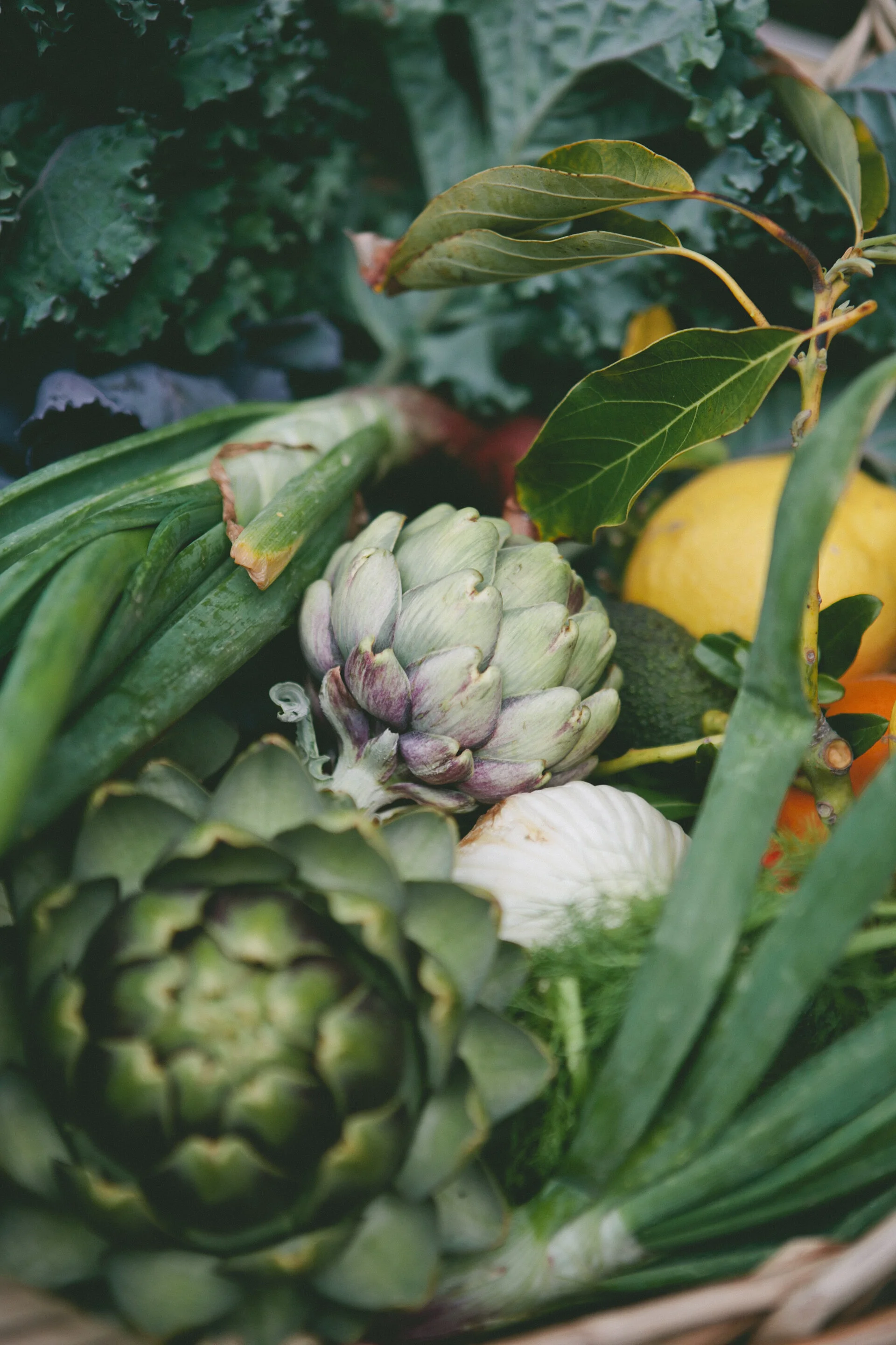 ARTICHOKES_PRINT_BRIAN SAMUELS PHOTOGRAPHY_BTP2-4655.jpg