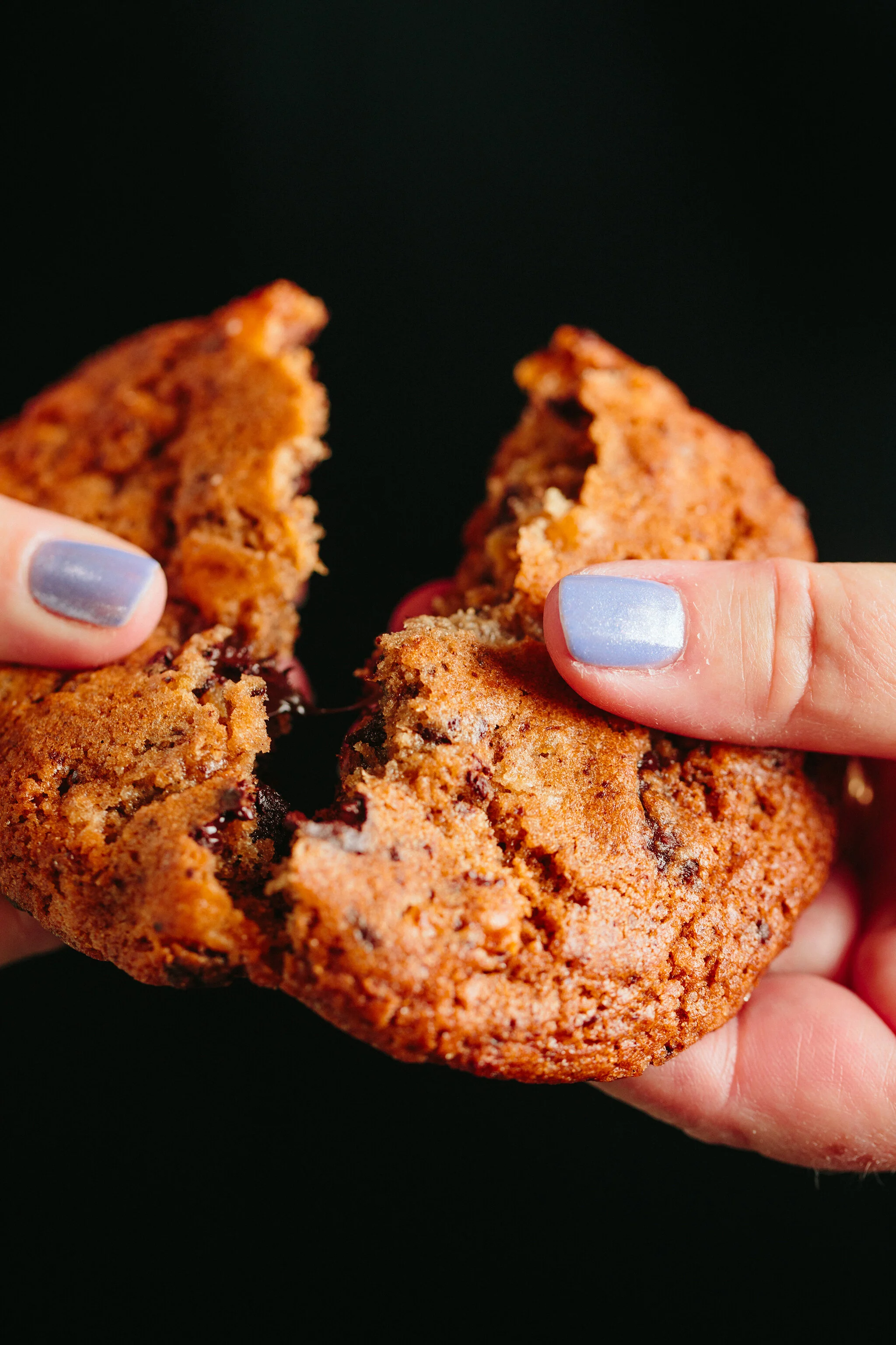 PETSI PIES_BRIAN SAMUELS PHOTOGRAPHY_JUNE 2021-0375 copy.jpg